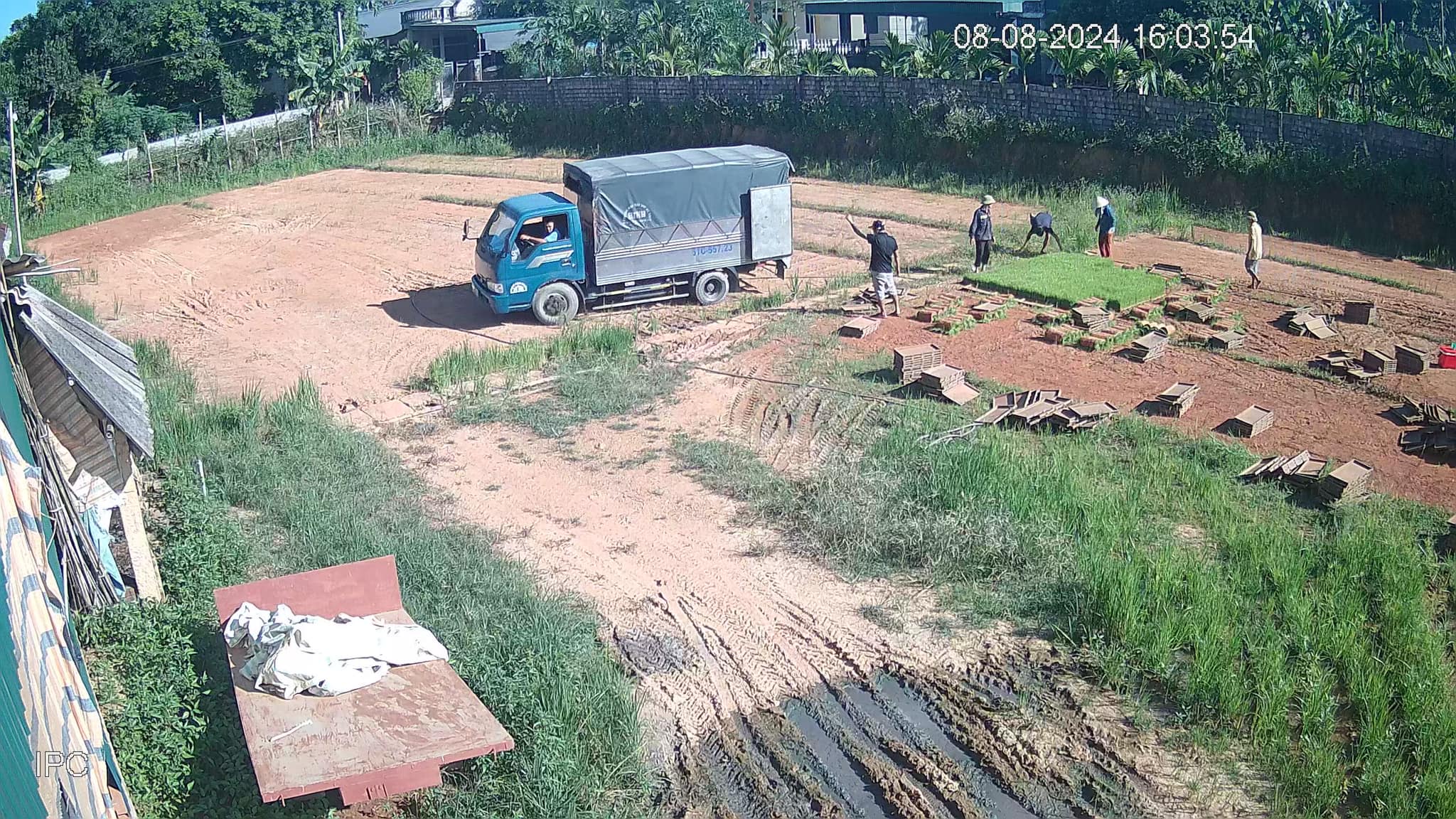 C&ugrave;ng sống xanh số 141: Đam m&ecirc; c&acirc;y l&uacute;a,  - Ảnh 2.