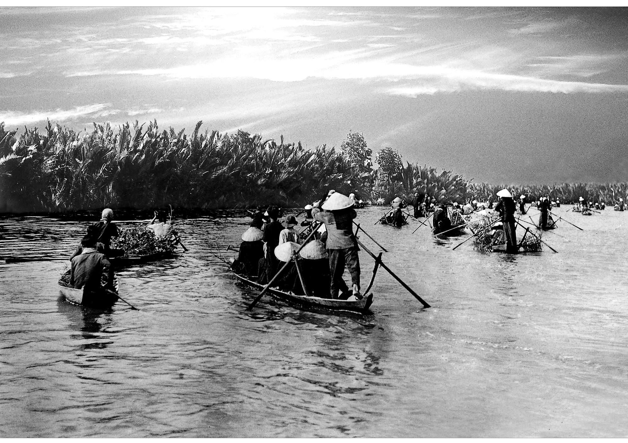 - Ảnh 4. - Ảnh 4.