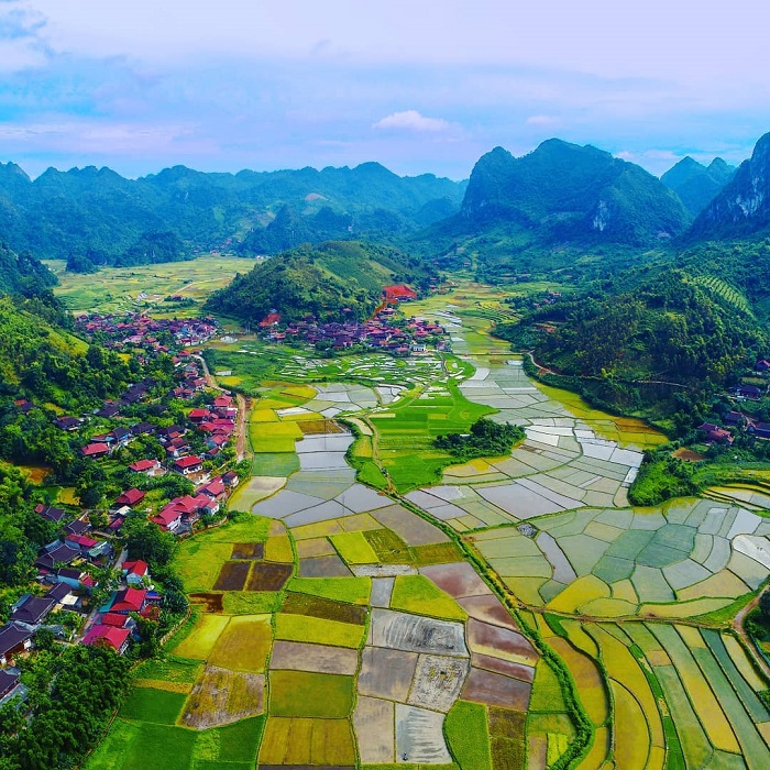 Ho&agrave;ng Đ&igrave;nh Kinh - thủ lĩnh T&agrave;y ki&ecirc;n cường- Ảnh 2.