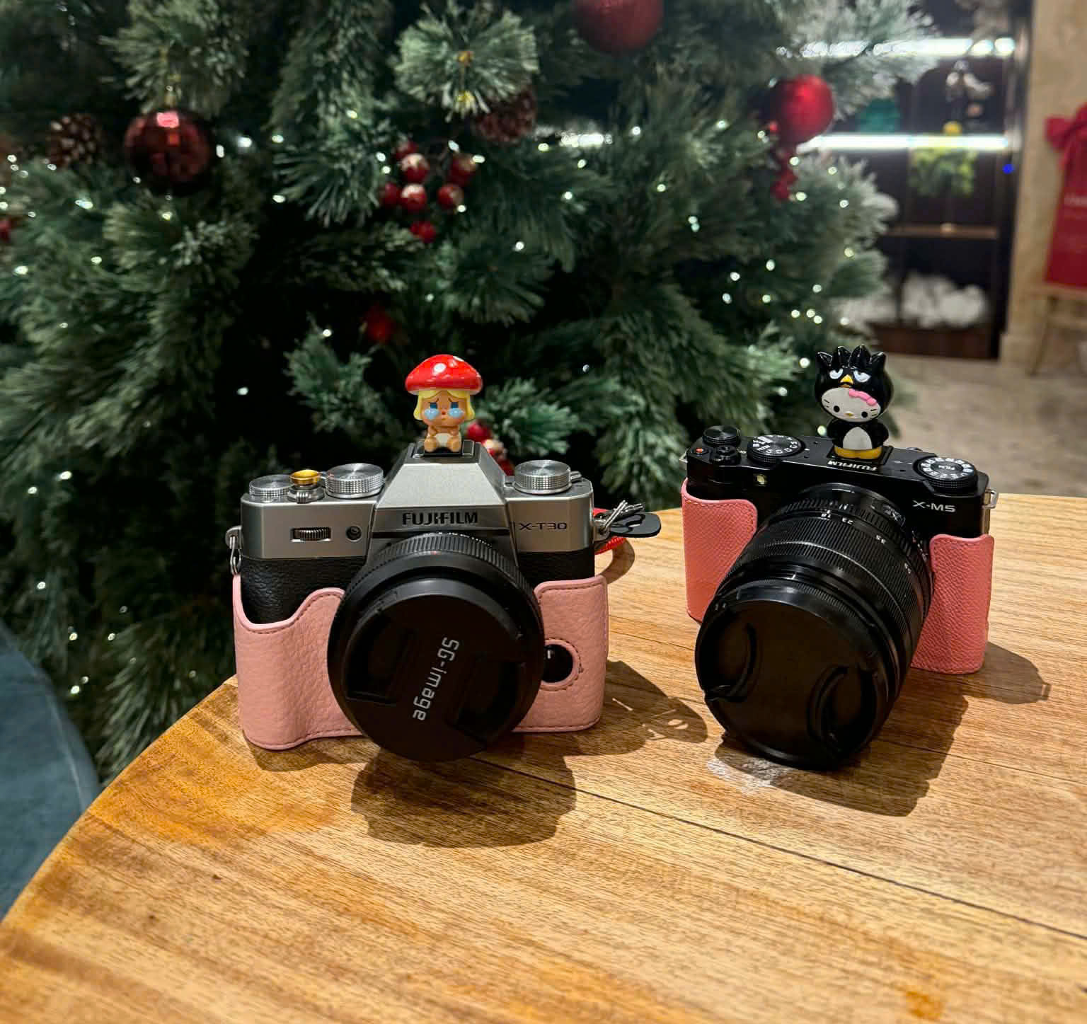 TP.HCM: Khởi nghiệp cho thuê máy ảnh, nhóm sinh viên bị lừa đảo mất trắng - Ảnh 2.