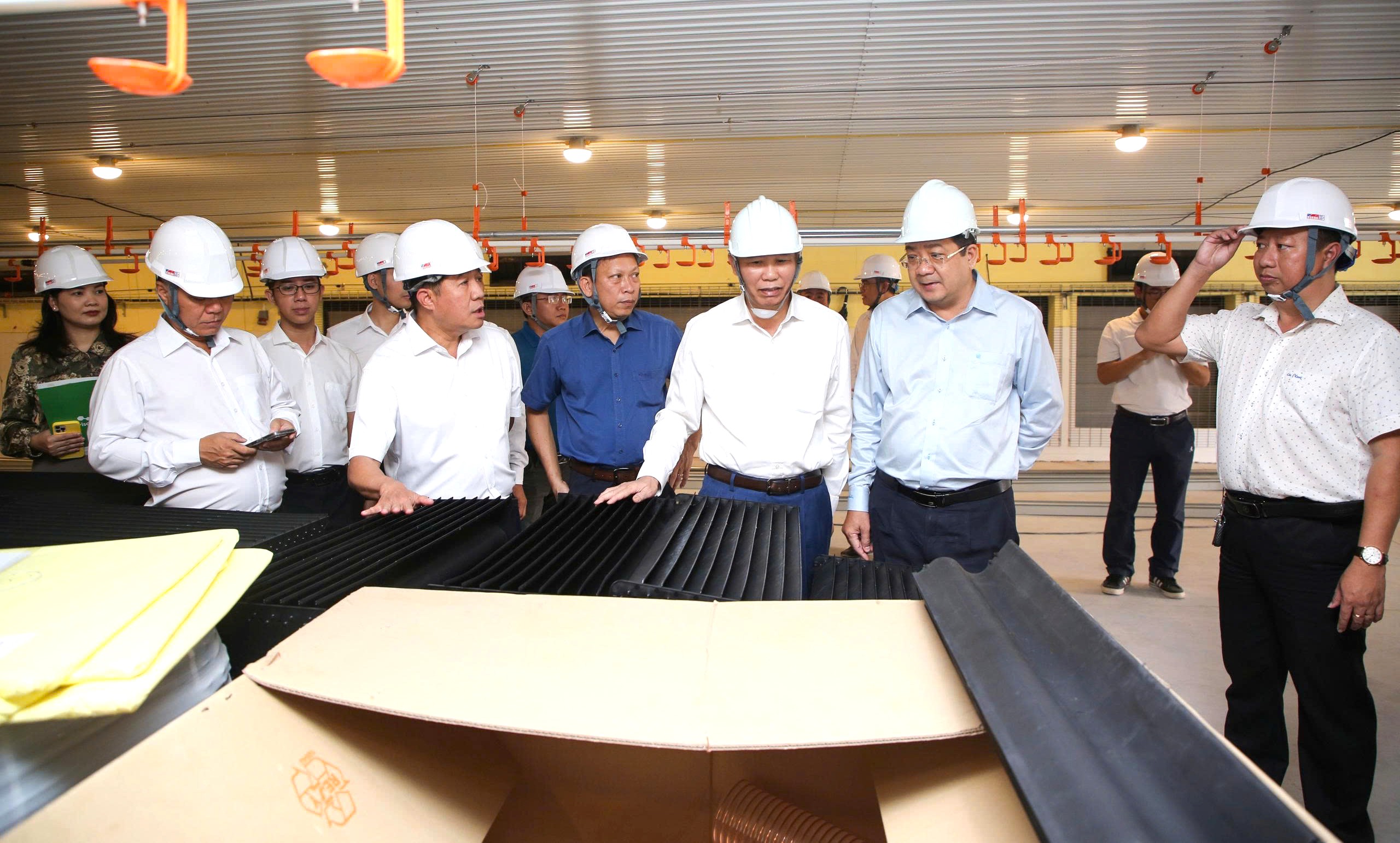 Tây Ninh gỡ "nút thắt" để ngành chăn nuôi quy mô "khủng" xuất khẩu - Ảnh 1.