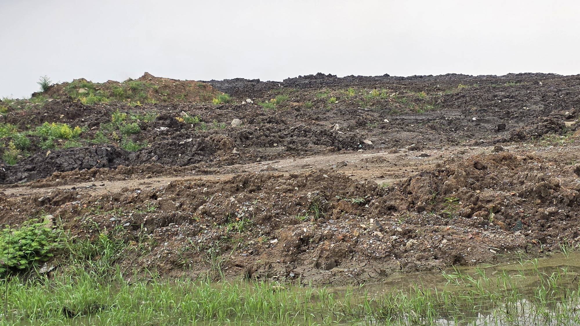 - Ảnh 4. - Ảnh 4.