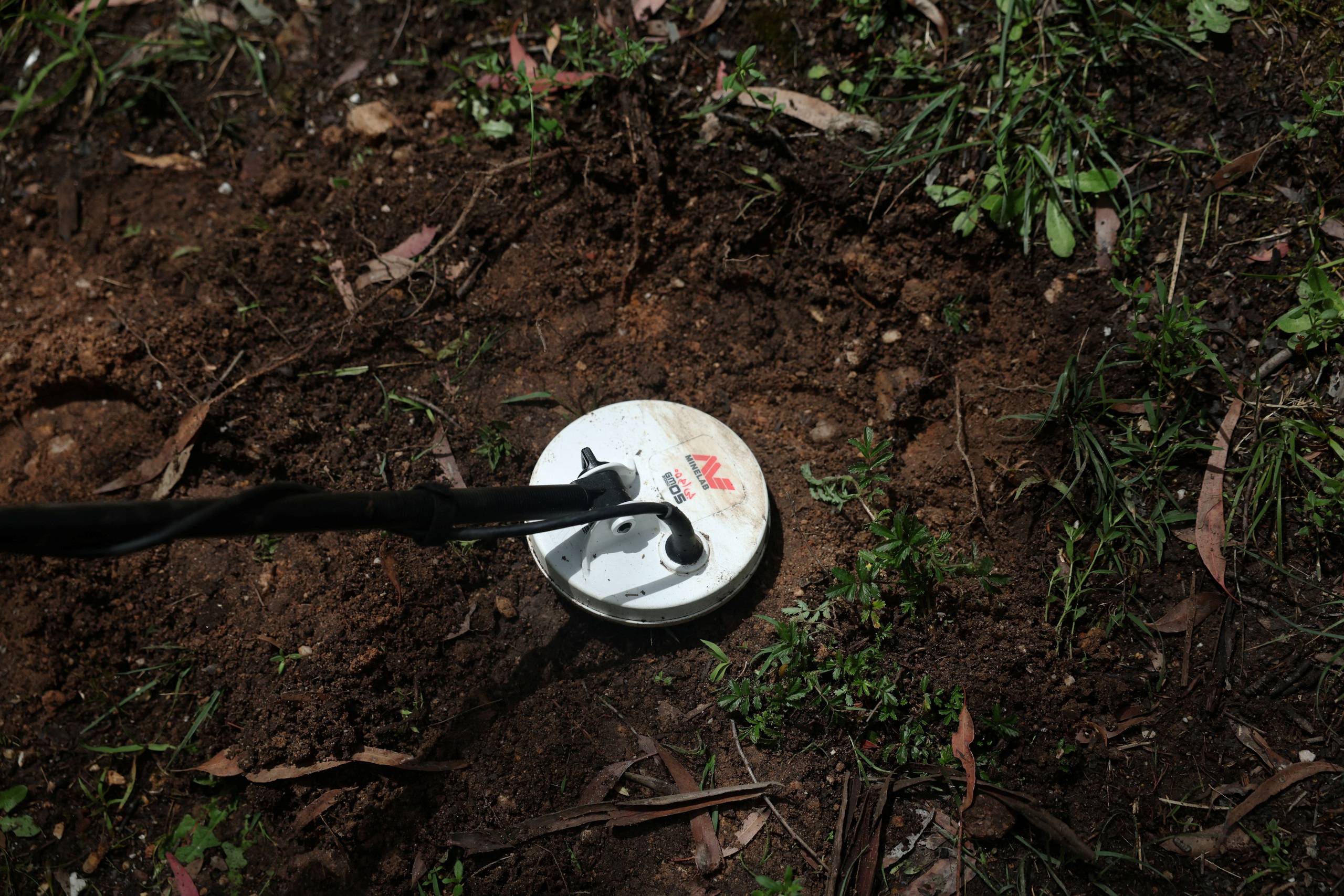 Gi&aacute; v&agrave;ng tăng vọt, nhiều người &Uacute;c đổ x&ocirc; đi đ&agrave;o v&agrave;ng - Ảnh 1.