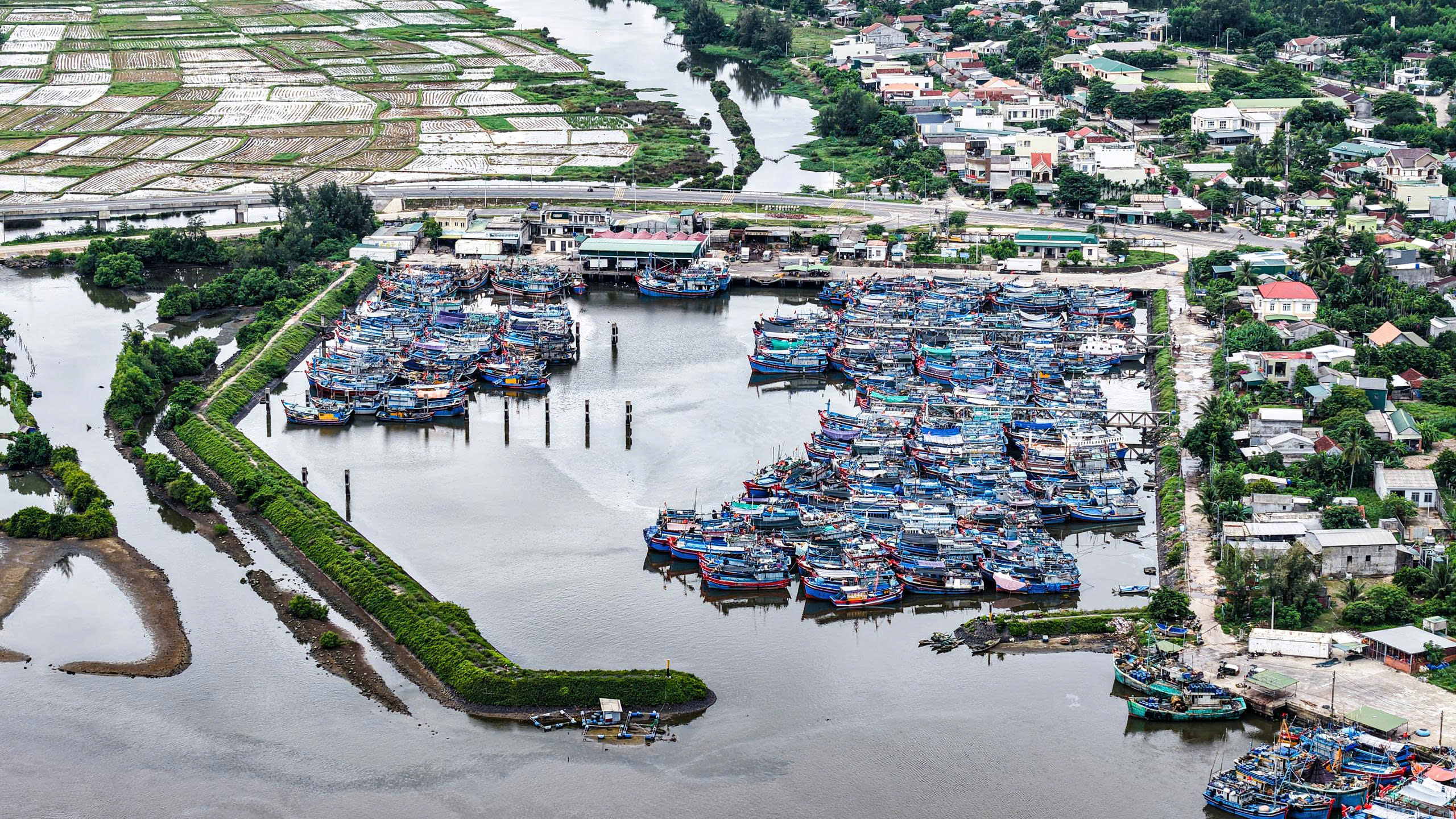 Quảng Ngãi hỗ trợ 20 tỉ đồng cho chủ tàu cá chuyển đổi nghề- Ảnh 2.