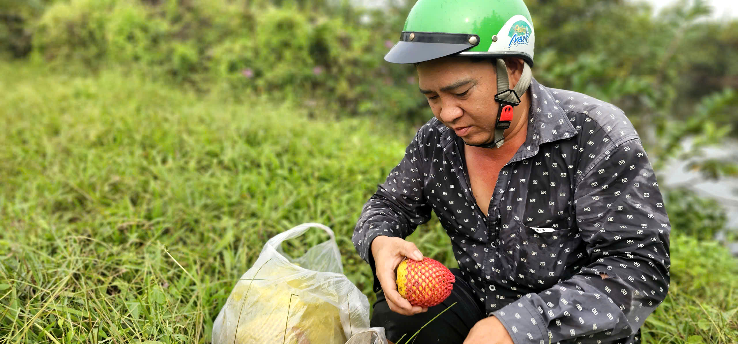 Gian nan nghề hái lộc trời tại Sài Gòn giữa dòng đời hiện đại - Ảnh 11.
