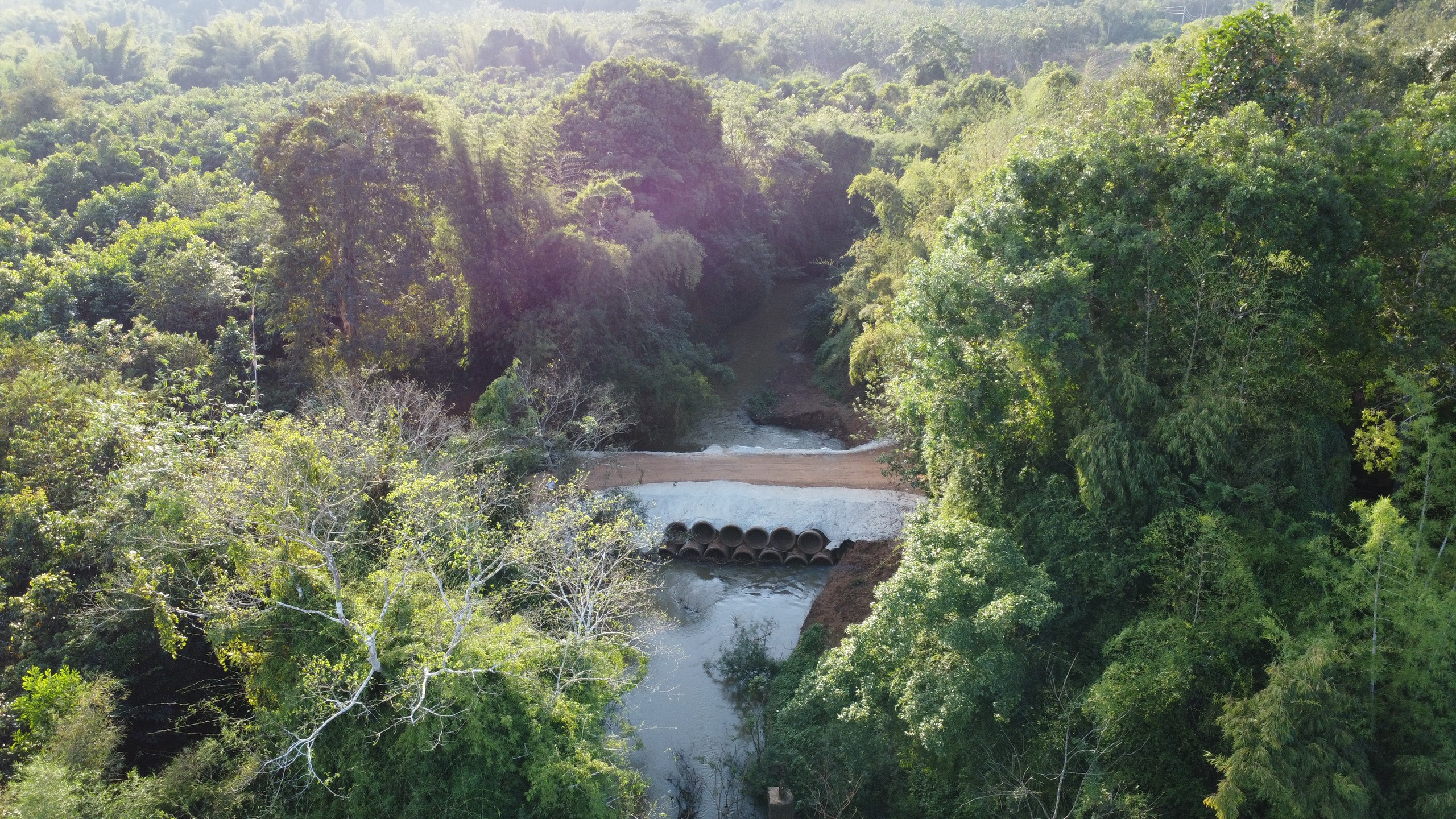 Đồng Nai thúc đẩy dự án nâng cấp đường ĐT . 753 Kết nối Bình Phước cũ - Ảnh 7.