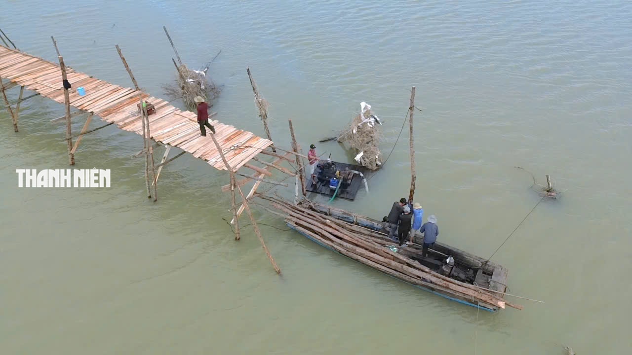 Cầu gỗ d&agrave;i nhất Việt Nam hồi sinh: &lsquo;Người nh&aacute;i&rsquo; dựng lại &Ocirc;ng Cọp - Ảnh 8.