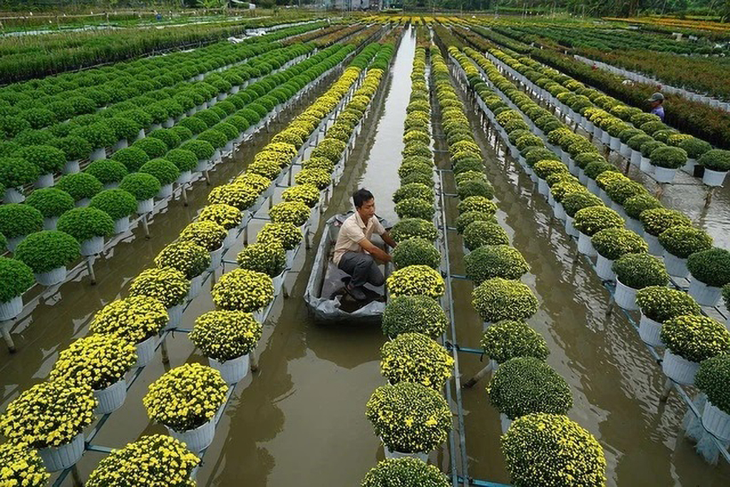 Vui chơi - giải trí đầu năm mới- Ảnh 8.