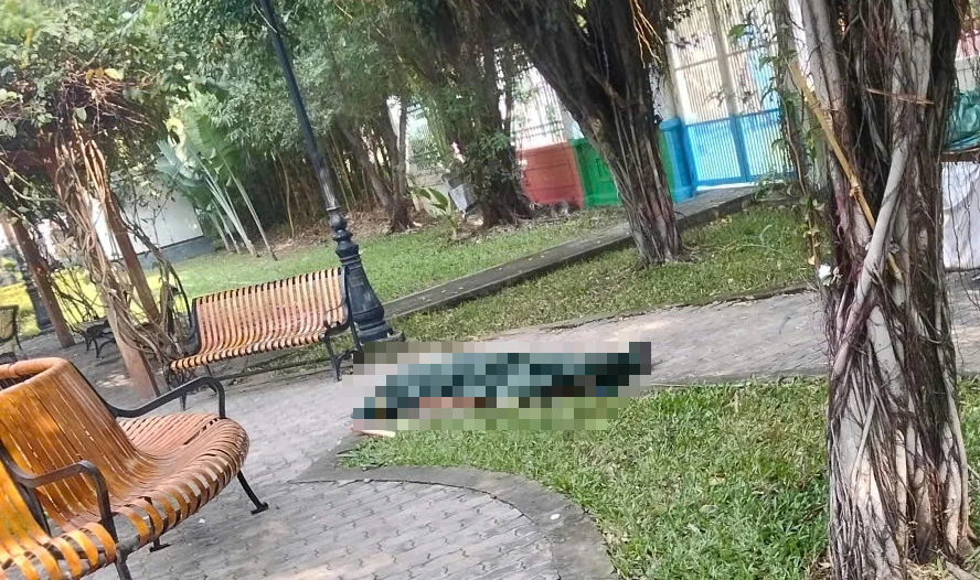 TP.HCM: Tá hỏa phát hiện người đàn ông tử vong trong công viên- Ảnh 1. TP.HCM: Tá hỏa phát hiện người đàn ông tử vong trong công viên- Ảnh 1.