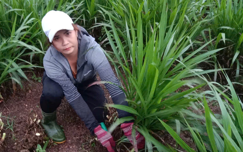 Những mảnh đời khốn kh&oacute; sau khi xuất hiện tr&ecirc;n B&aacute;o Thanh Ni&ecirc;n: Đ&atilde; hồi sinh- Ảnh 1.