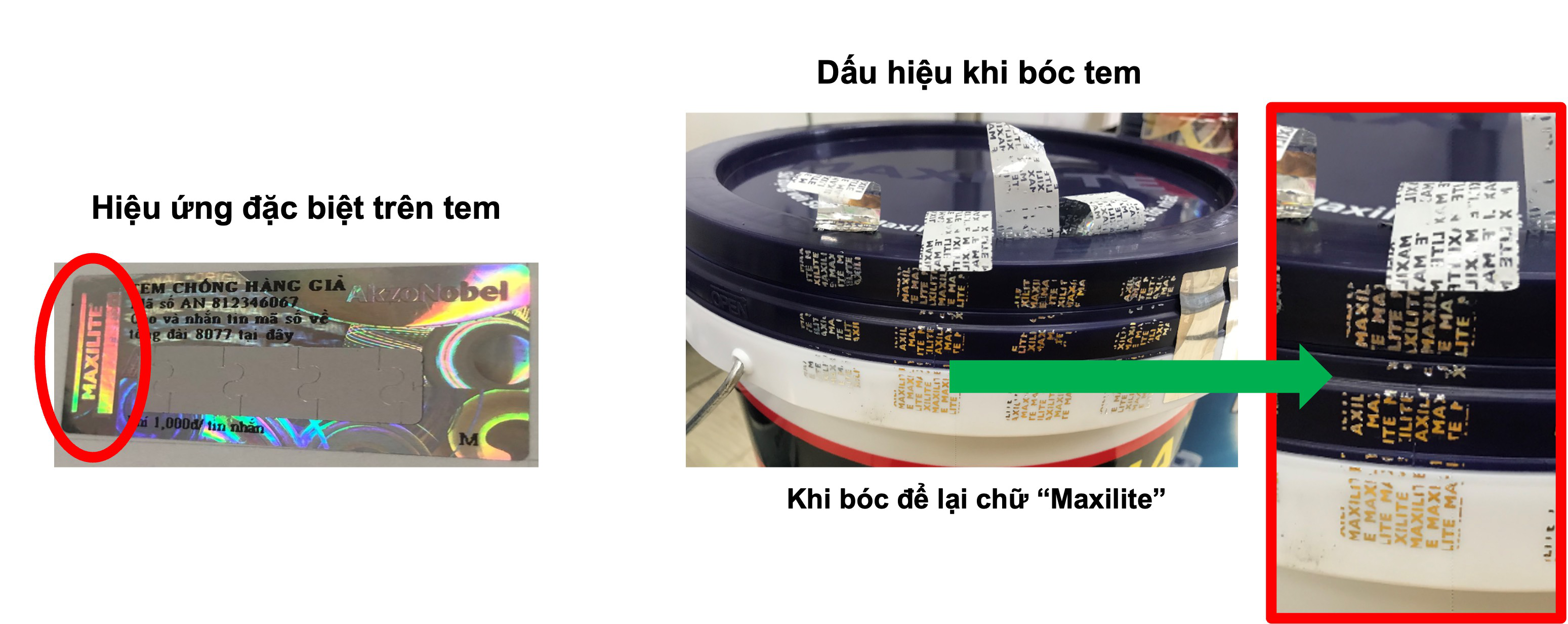 AkzoNobel tăng cường hoạt động chống sơn giả với thương hiệu Dulux và Maxilite- Ảnh 2.
