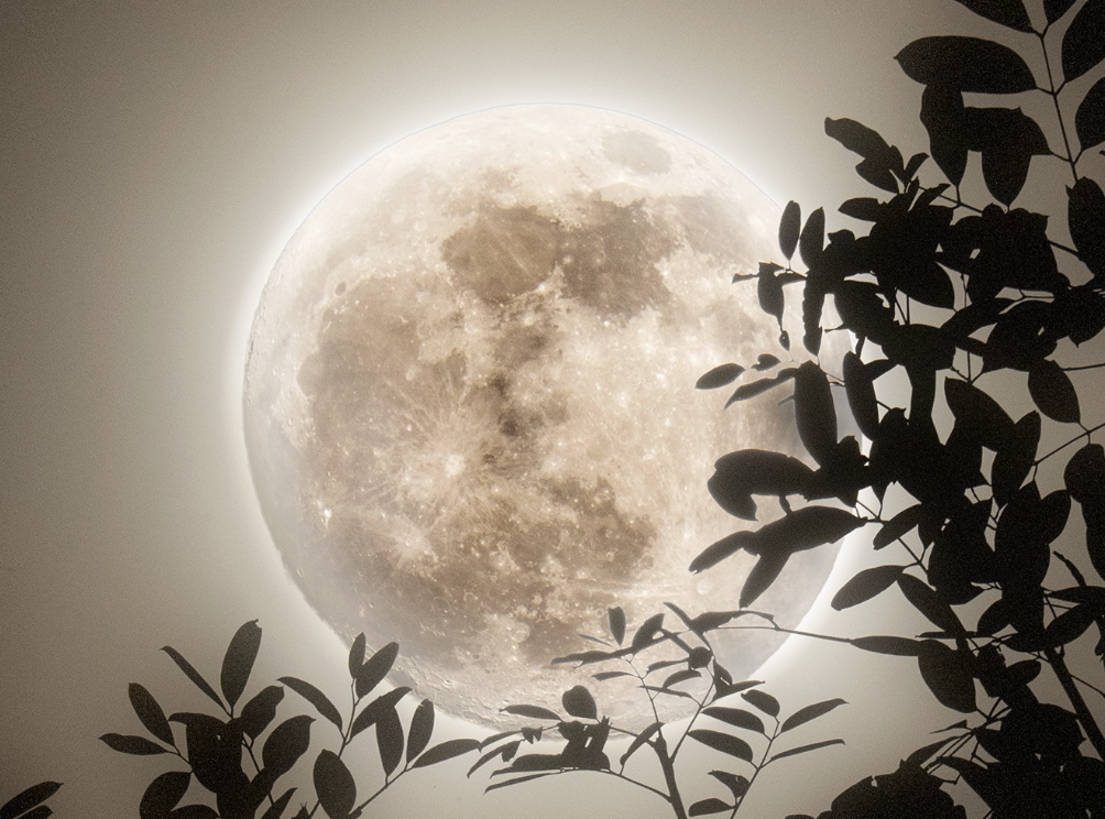 Siêu trăng cuối cùng 2025 sắp xuất hiện: Có ảnh hưởng gì tới con người? - Ảnh 1.