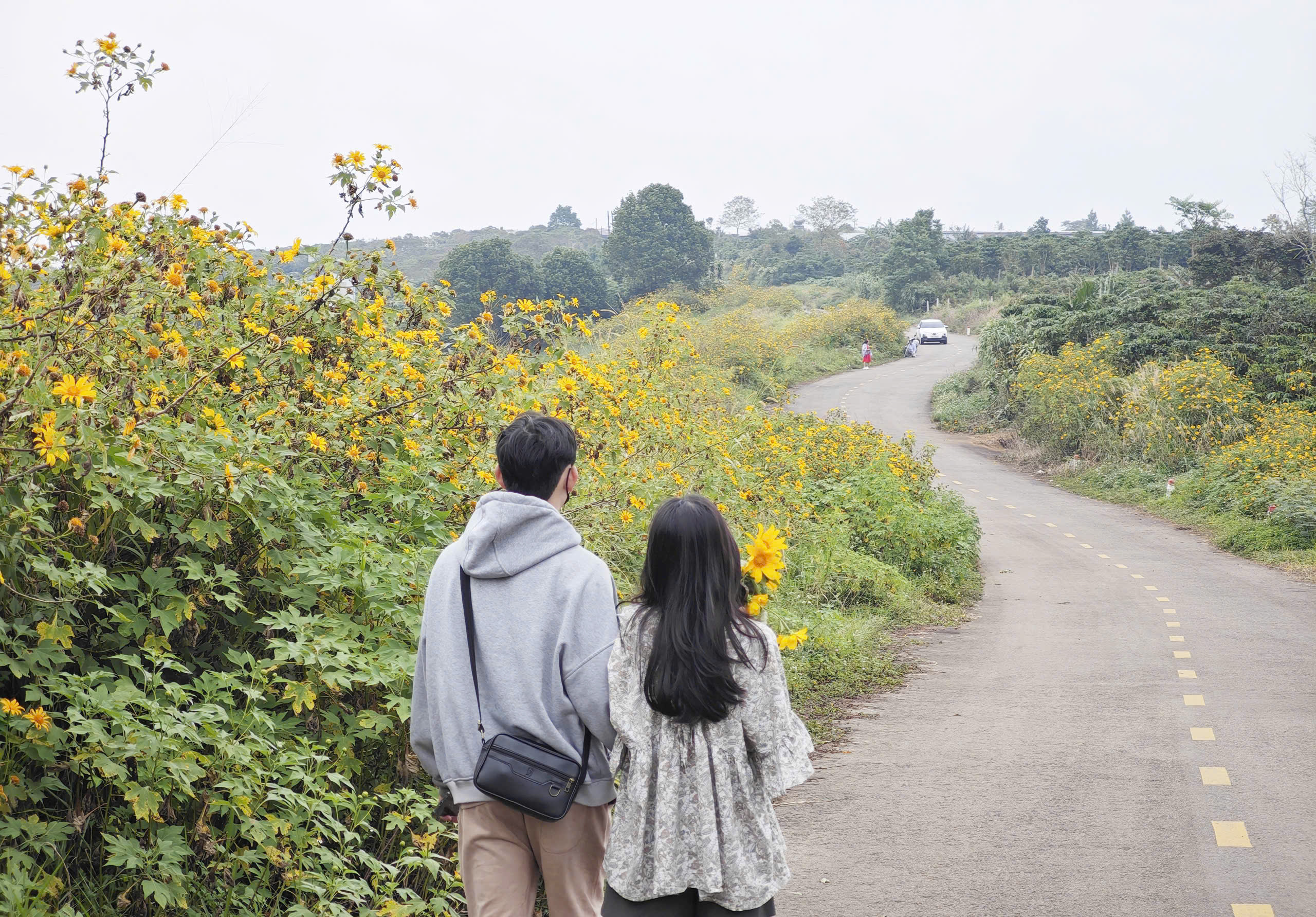 Hoa dã quỳ Lâm Đồng 2025: Sắc vàng rực rỡ mời gọi du khách - Ảnh 6.