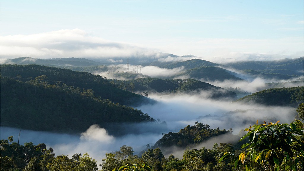 Cá nục kho măng ở Kon Tum: Cuộc gặp gỡ giữa núi đại ngàn và hơi thở biển khơi - Ảnh 1.
