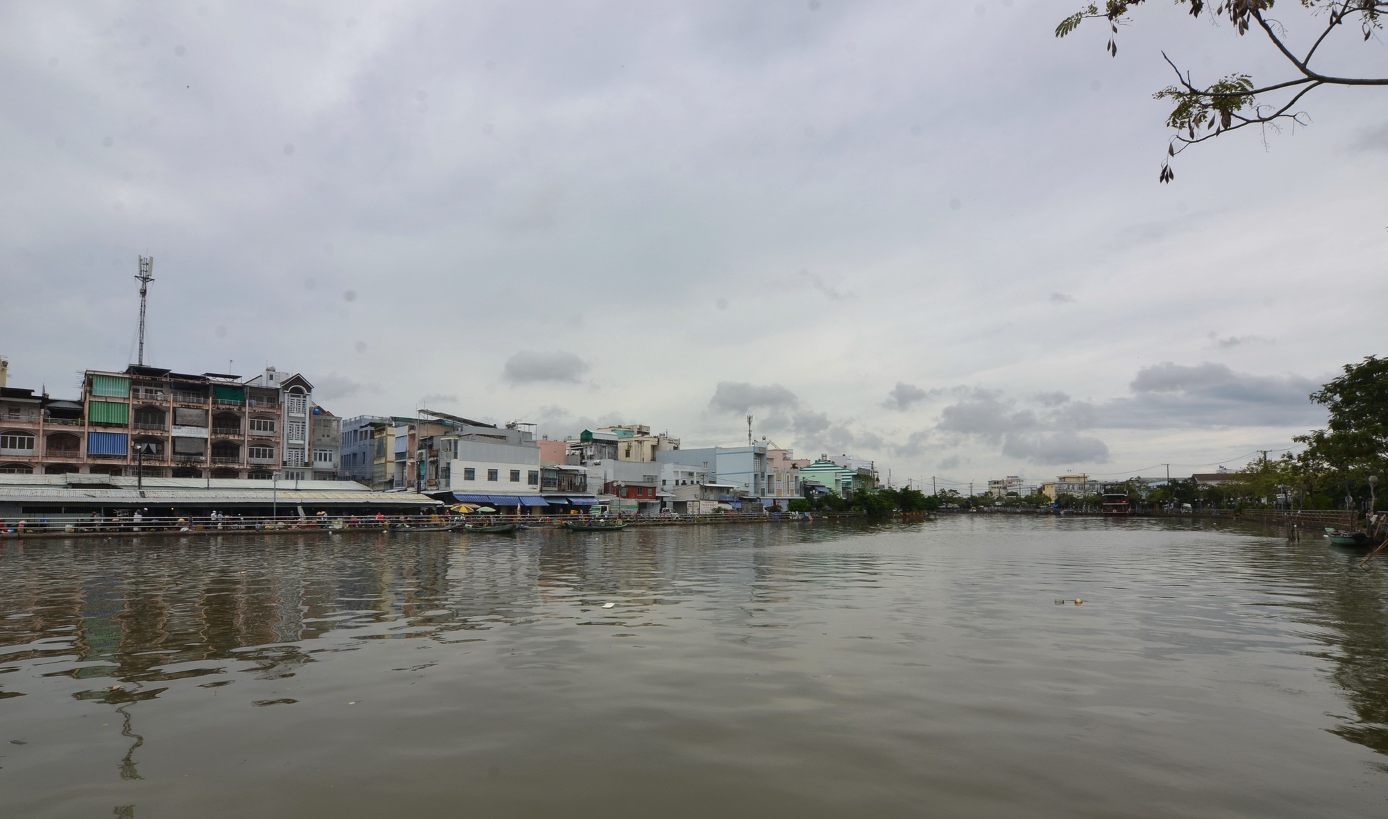 Chuyện xưa tích cũ xứ Cà Mau: Cà Mau có cái Ao Vua- Ảnh 1.