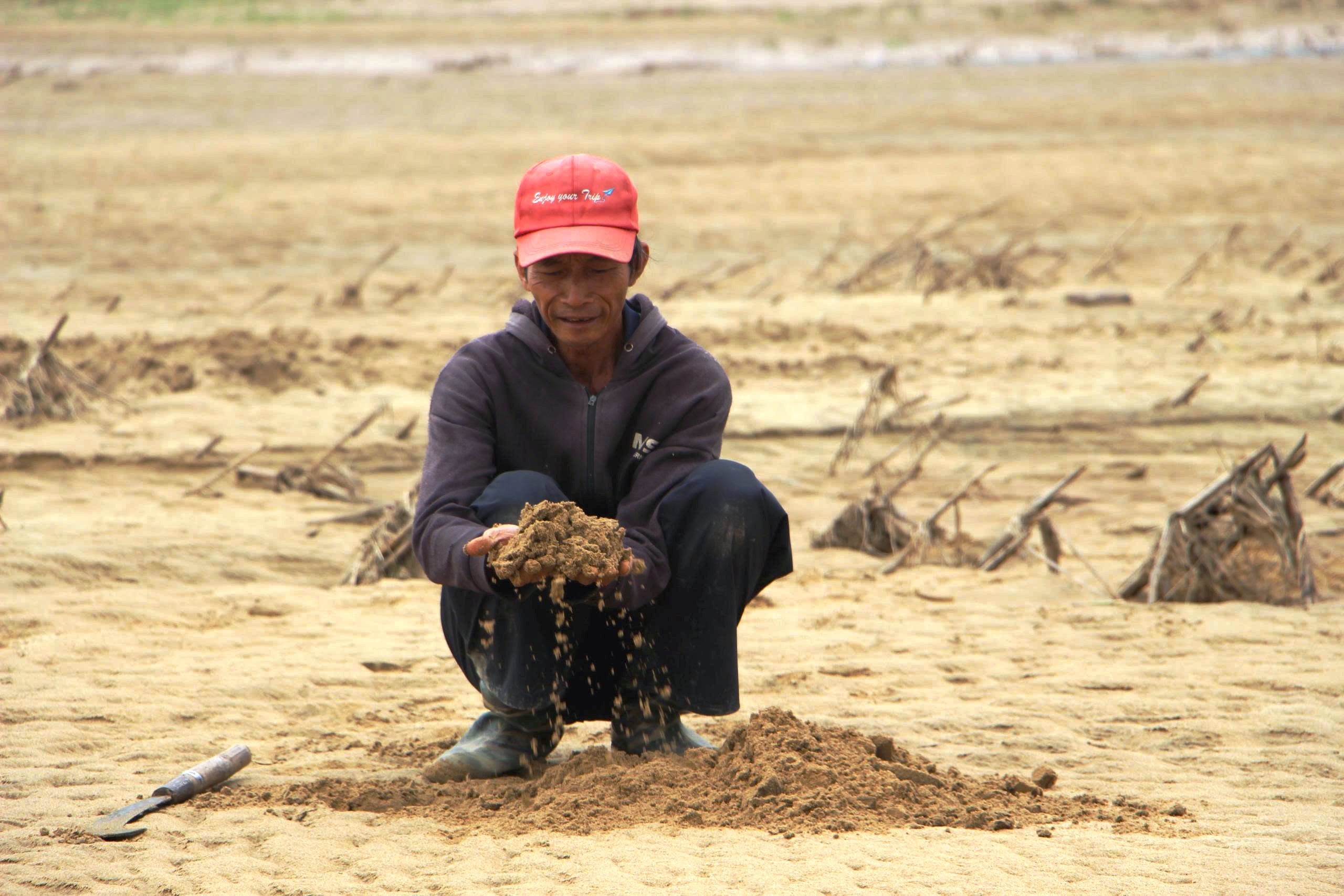 Đà Nẵng: Gần 600.000 m³ cát tràn vào đất sản xuất sau mưa lũ lịch sử- Ảnh 2.