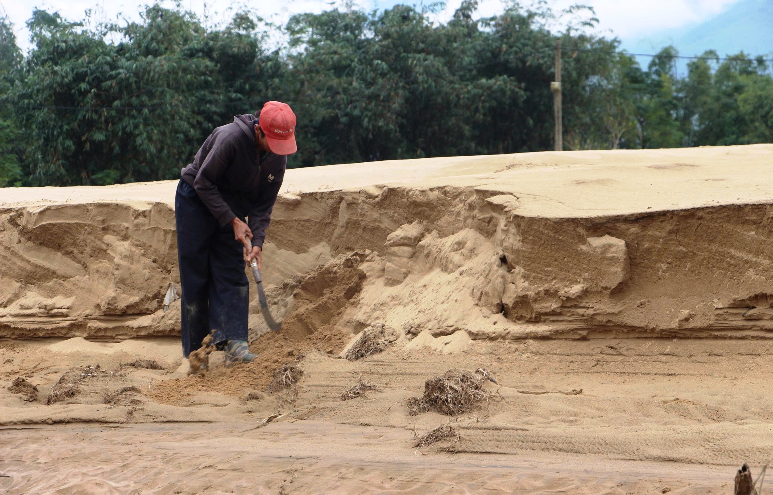 Đà Nẵng: Gần 600.000 m³ cát tràn vào đất sản xuất sau mưa lũ lịch sử- Ảnh 1.