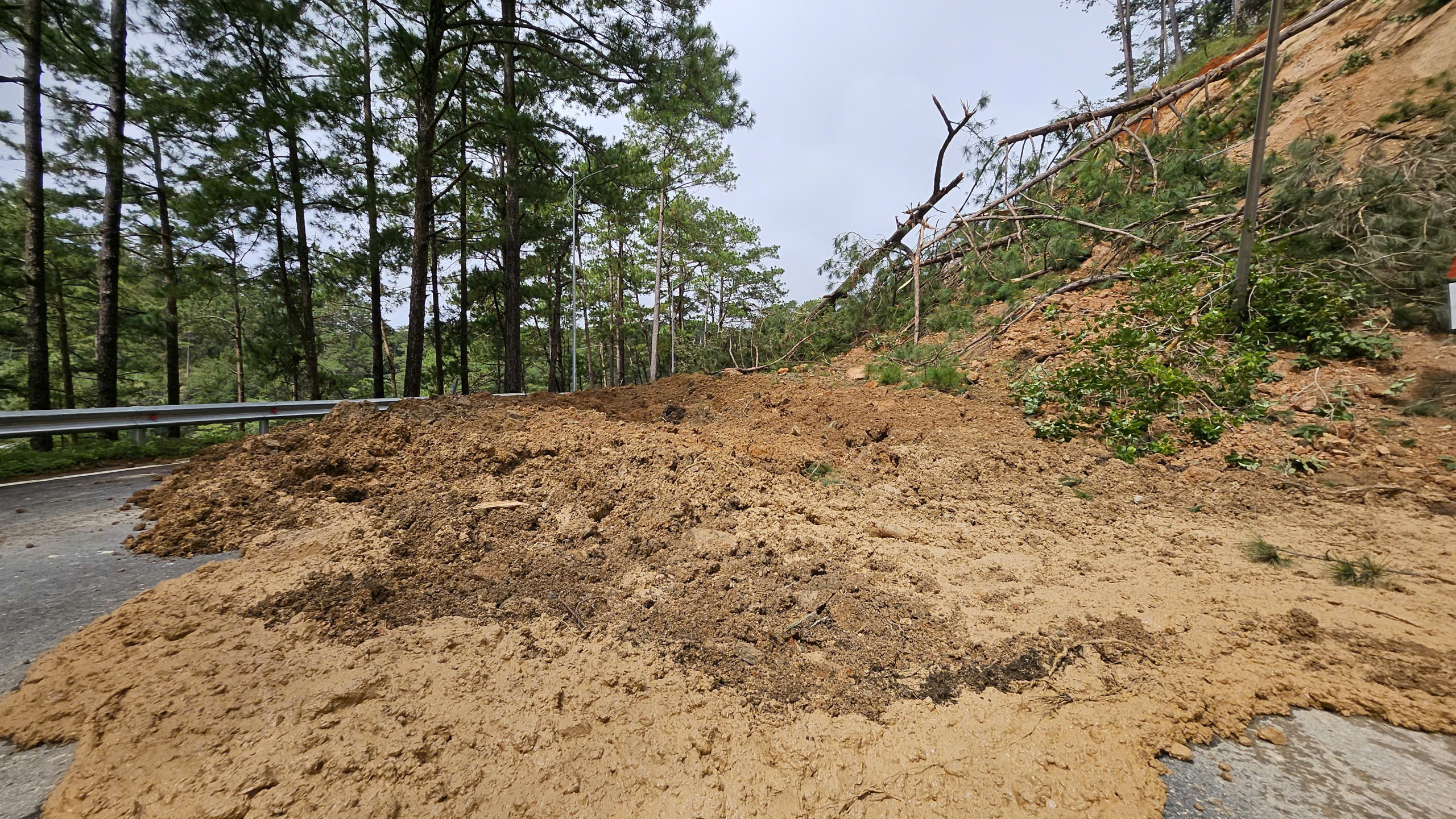 Sạt lở nghiêm trọng tại đèo Prenn Đà Lạt gây ách tắc giao thông - Ảnh 2.