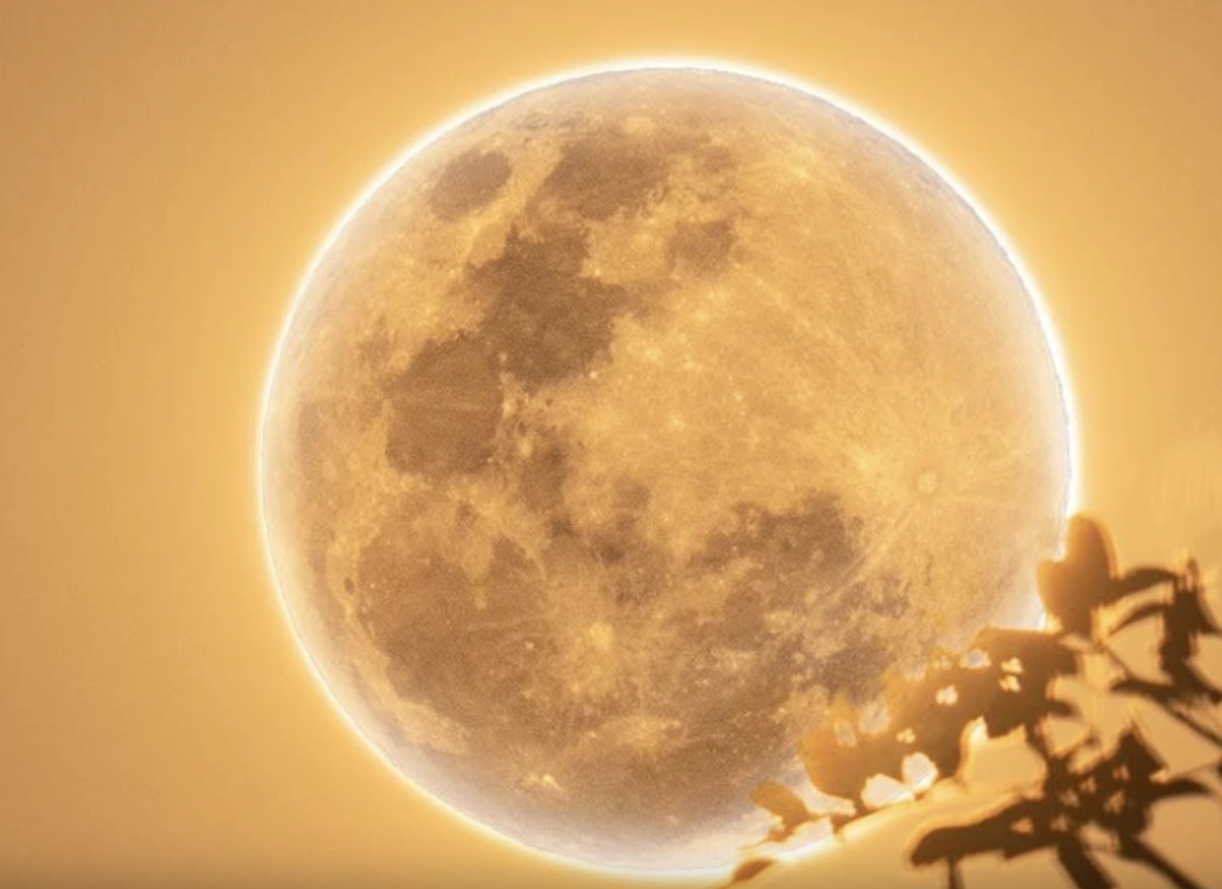 Sự thật bất ngờ về siêu trăng lạnh cuối cùng 2025: Hôm nay trăng mới to nhất - Ảnh 1.