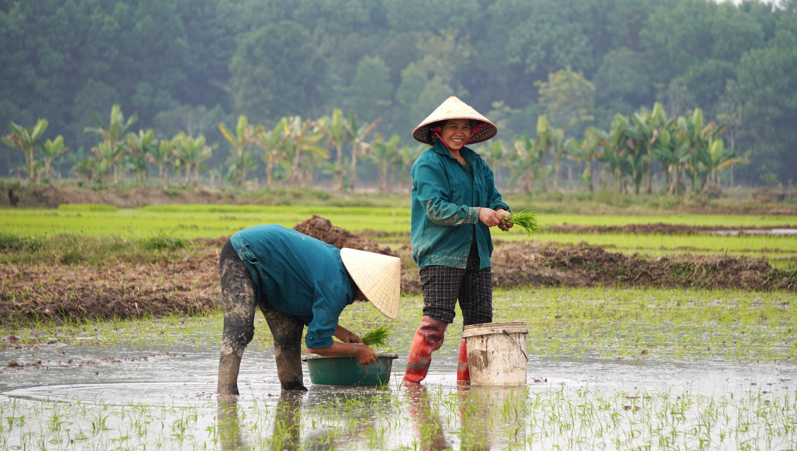 Khám phá Vẻ đẹp rêu phong của Thành Nhà Hồ 600 năm tuổi tại Thanh Hóa - Ảnh 9.