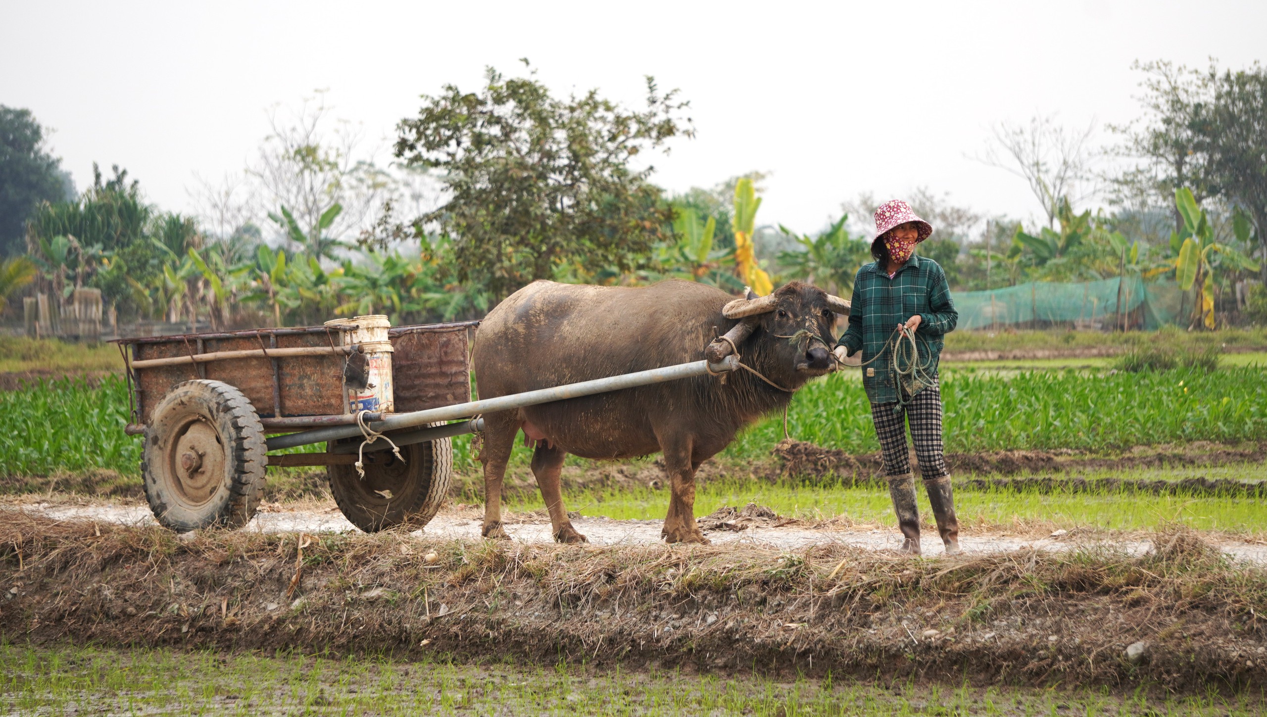 Khám phá Vẻ đẹp rêu phong của Thành Nhà Hồ 600 năm tuổi tại Thanh Hóa - Ảnh 10.
