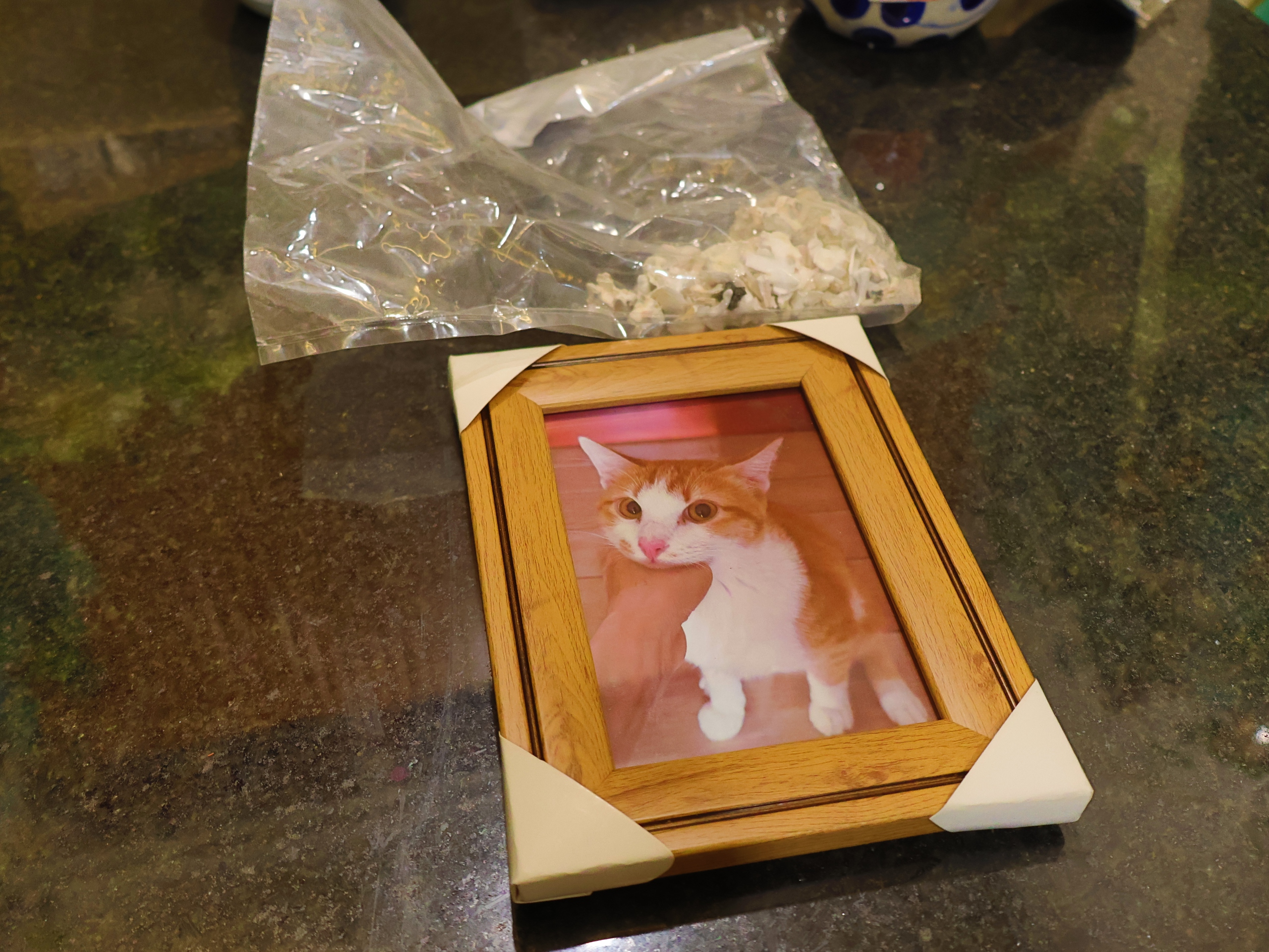 Hỏa táng thú cưng: Ngày đầu vào Bình Hưng Hòa 'hơi sợ sợ'- Ảnh 5.