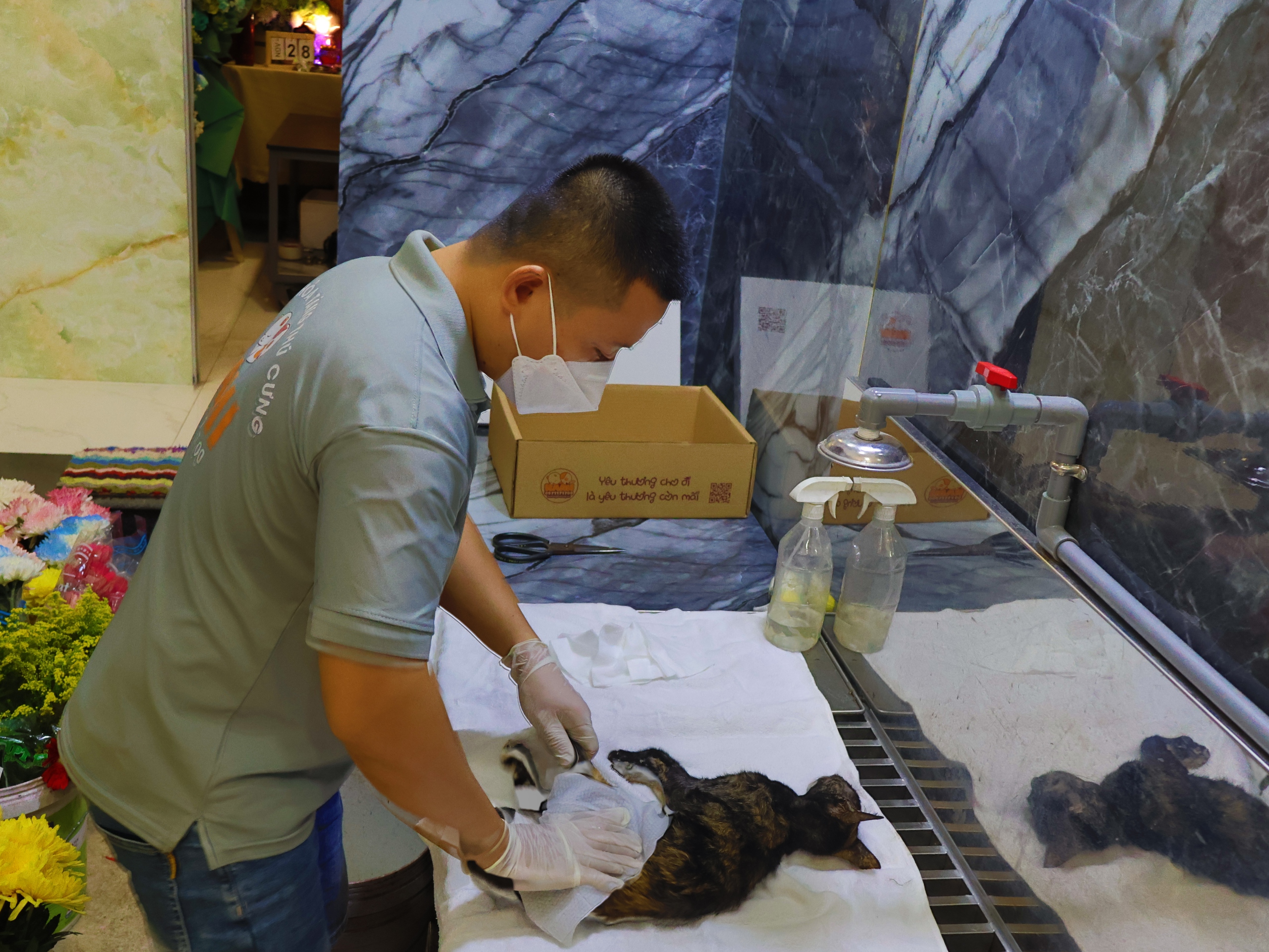 Hỏa táng thú cưng: Ngày đầu vào Bình Hưng Hòa 'hơi sợ sợ'- Ảnh 2.