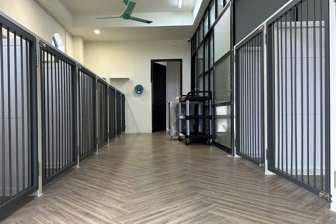 Làm đẹp thú cưng ở TP.HCM: Kiên nhẫn và cả trắc ẩn với khách hàng 4 chân- Ảnh 6. Làm đẹp thú cưng ở TP.HCM: Kiên nhẫn và cả trắc ẩn với khách hàng 4 chân- Ảnh 6.