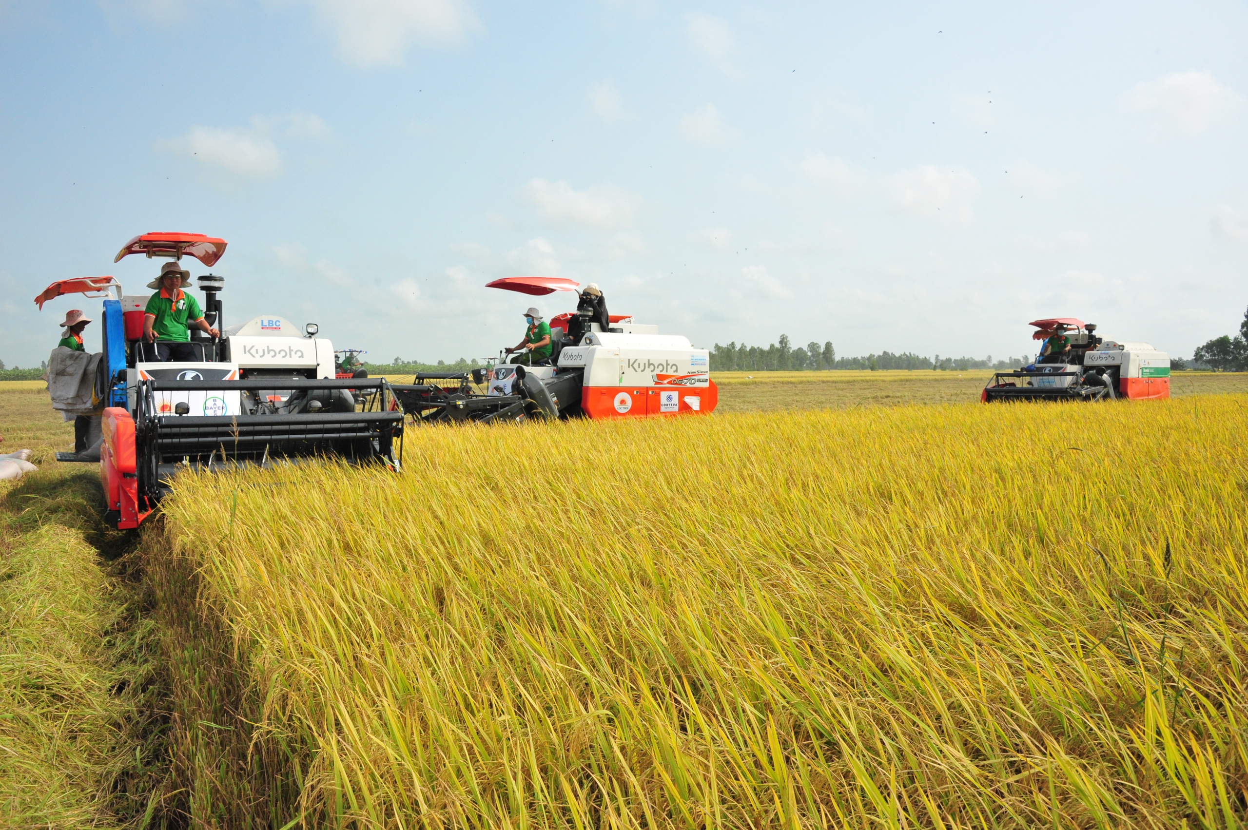 Gạo Việt từ ngon nhất đến 'xanh' nhất thế giới- Ảnh 2. Gạo Việt từ ngon nhất đến 'xanh' nhất thế giới- Ảnh 2.