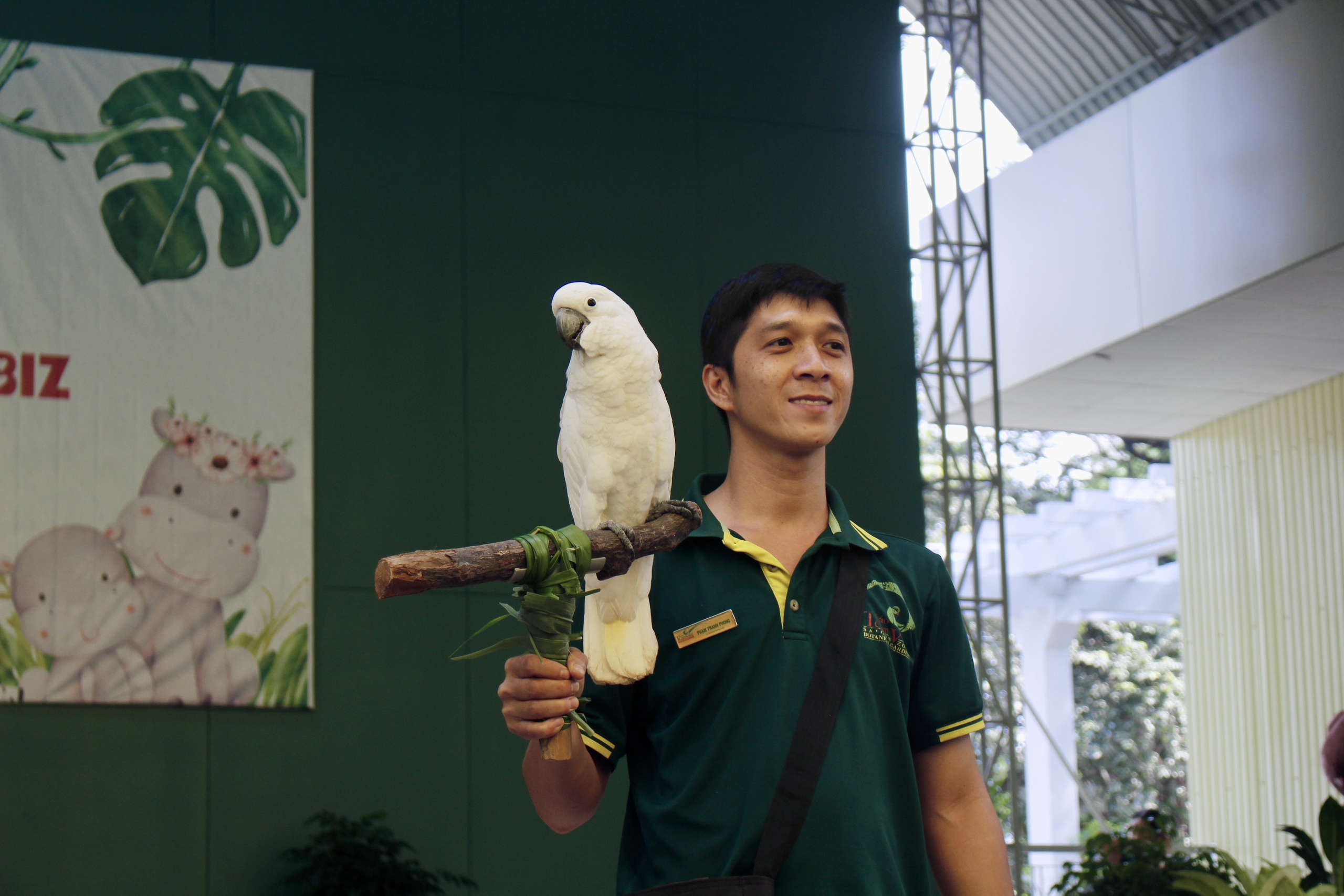 Từ mèo hoang thành 'chủ tịch': Mika khuấy đảo họp fan Thảo Cầm Viên Sài Gòn - Ảnh 8.