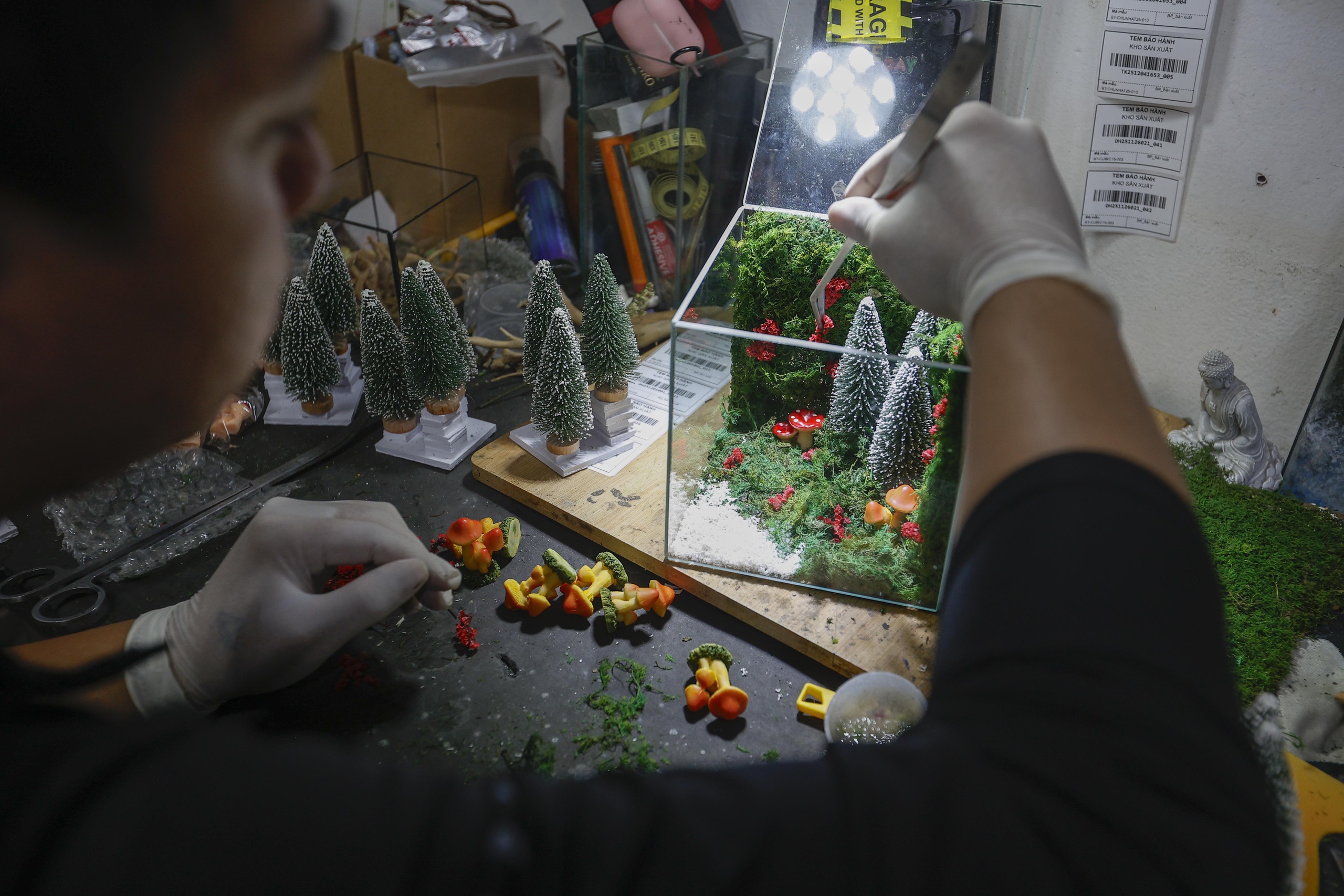 Kiếm 2 tỉ/ tháng từ khu vườn Giáng sinh thu nhỏ- Ảnh 5. Kiếm 2 tỉ/ tháng từ khu vườn Giáng sinh thu nhỏ- Ảnh 5.