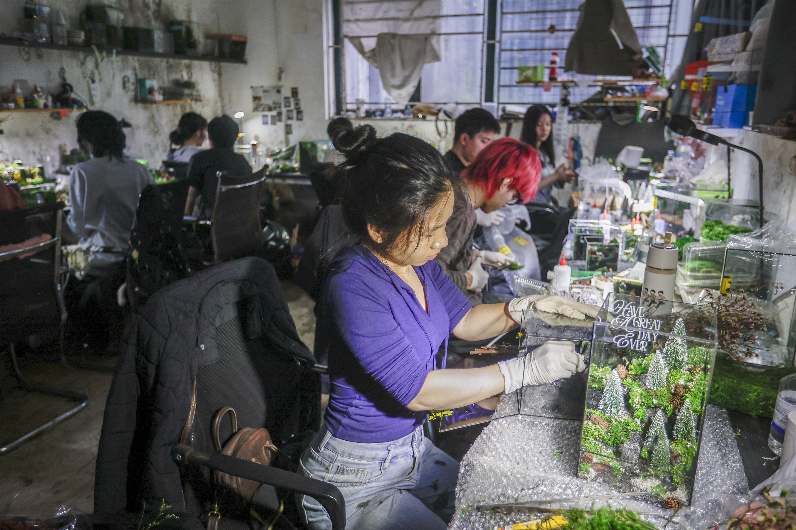 Kiếm 2 tỉ/ tháng từ khu vườn Giáng sinh thu nhỏ- Ảnh 1. Kiếm 2 tỉ/ tháng từ khu vườn Giáng sinh thu nhỏ- Ảnh 1.