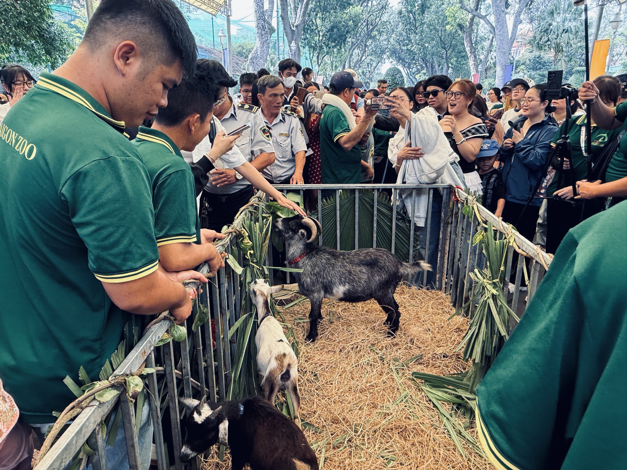 Từ mèo hoang thành 'chủ tịch': Mika khuấy đảo họp fan Thảo Cầm Viên Sài Gòn - Ảnh 6.
