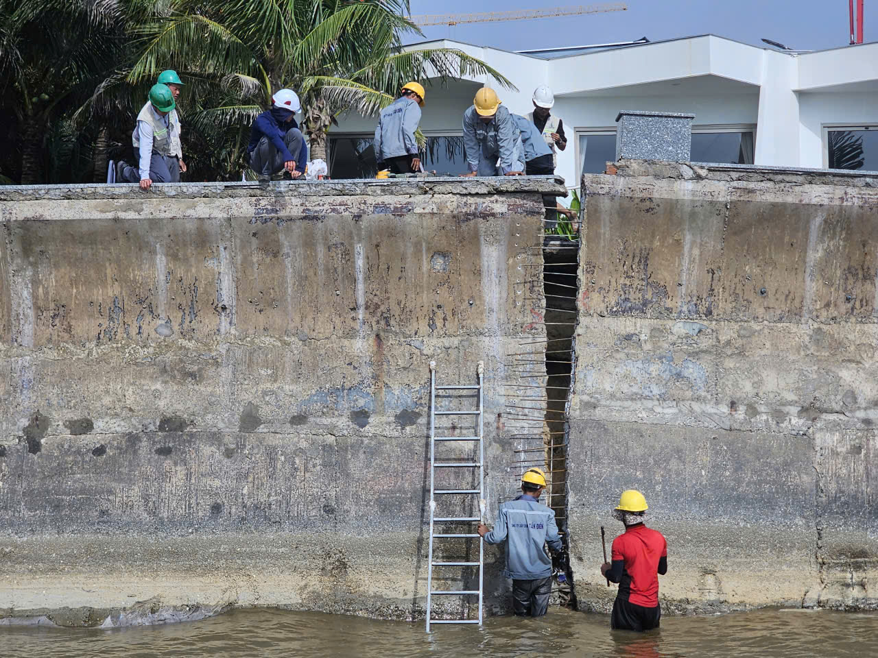 Xem nhanh 20h ngày 7.12: - Ảnh 1.