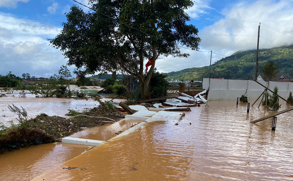 'Thủ phủ' hoa lay ơn tết điêu đứng vì mưa lũ - Ảnh 2.