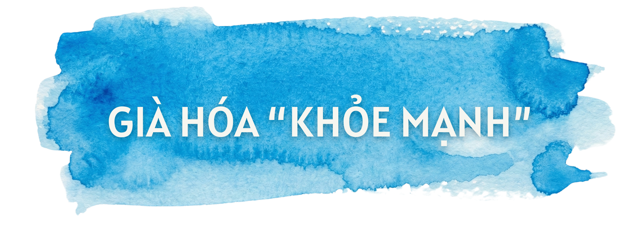 Vietnam står inför oron över att bli gammal innan man blir rik - Foto 5.