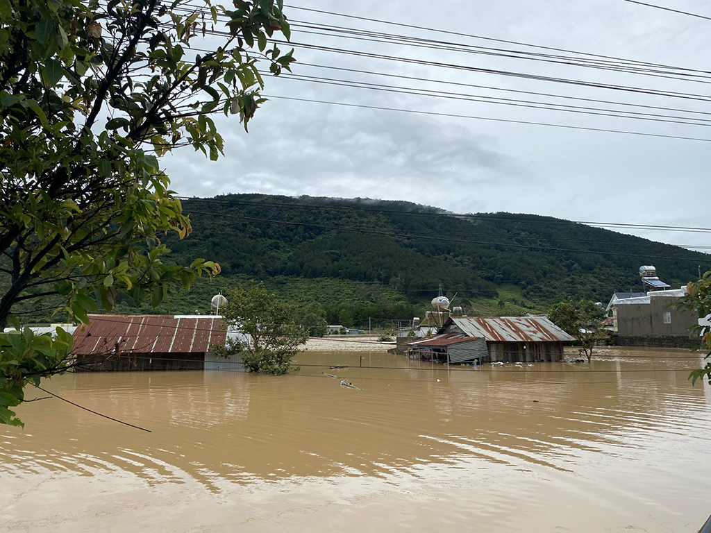'Thủ phủ' hoa lay ơn tết điêu đứng vì mưa lũ - Ảnh 4.