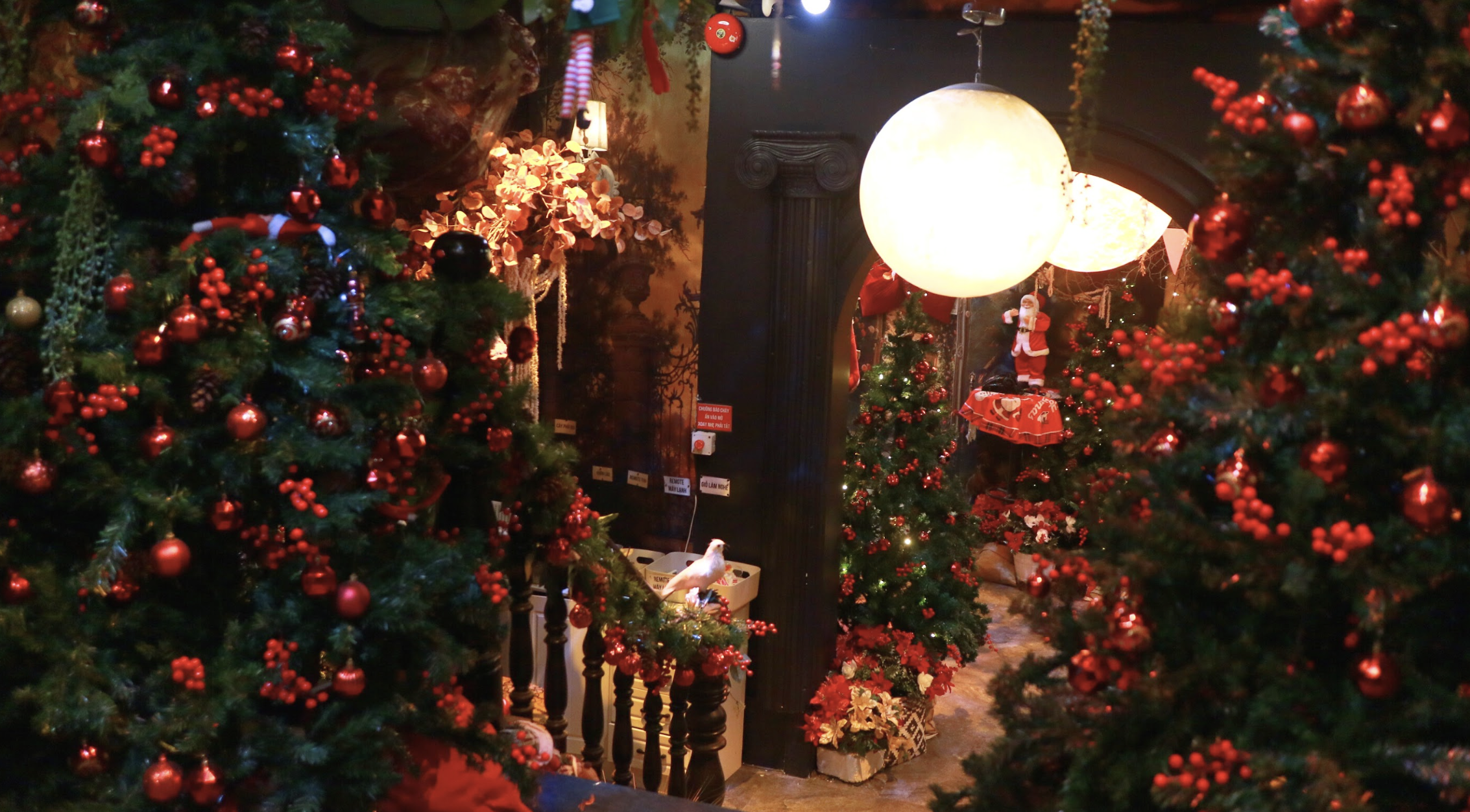 'Mang tuyết' đến TP.HCM mùa Giáng sinh, quán cà phê thu hút đông khách check-in - Ảnh 9.