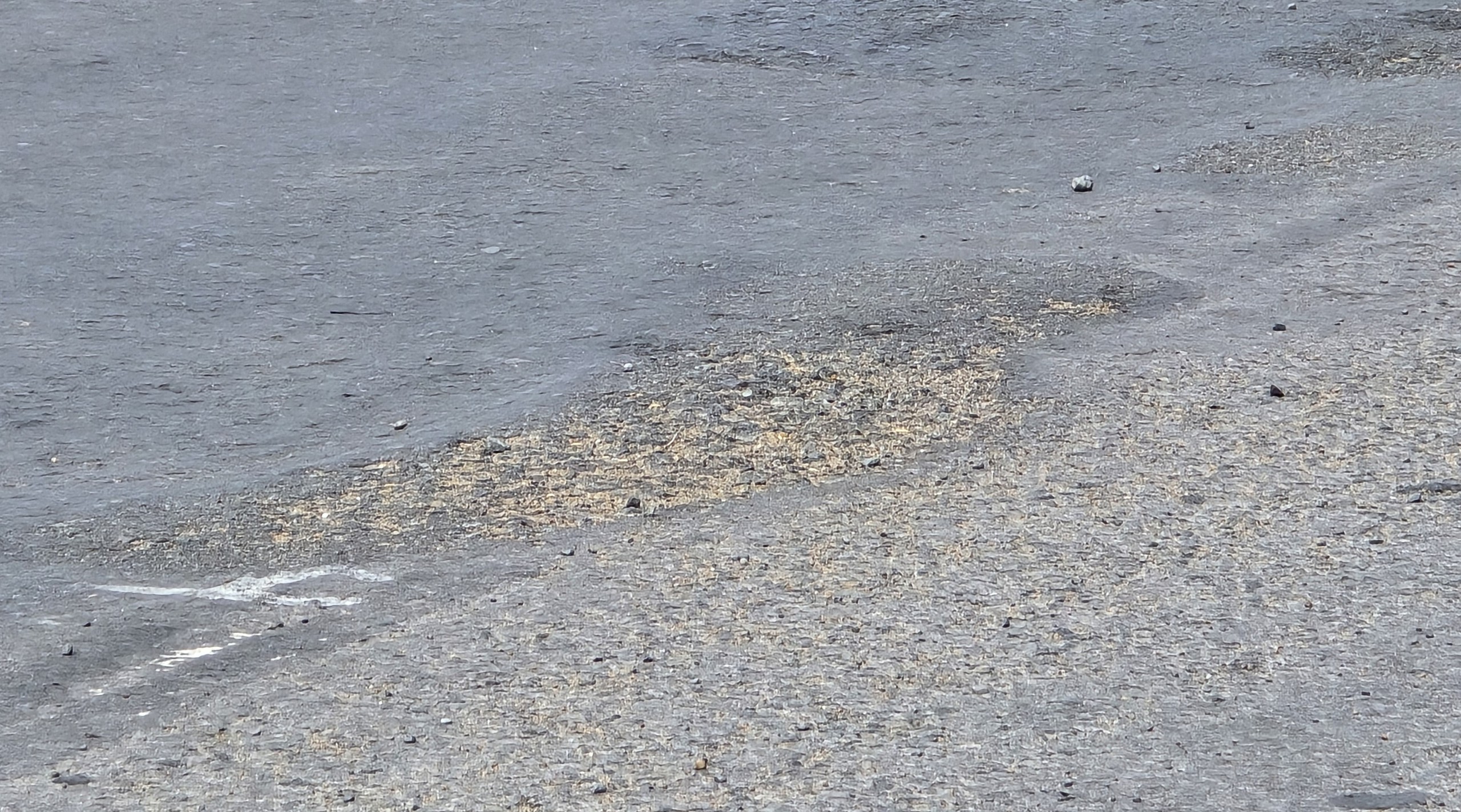 Vì sao đường BOT chất lượng tốt hơn đường ngân sách?- Ảnh 3.