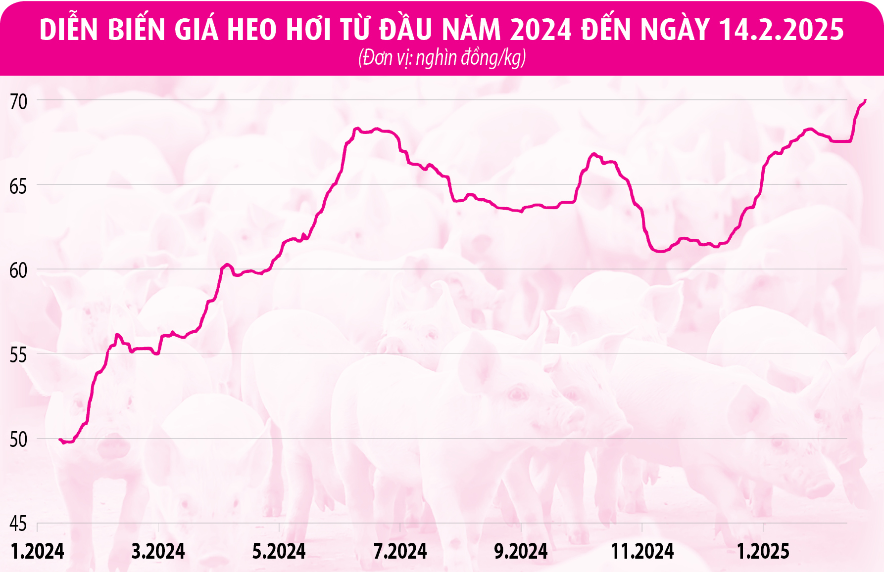 Giá thịt heo 'nhảy múa'- Ảnh 2.