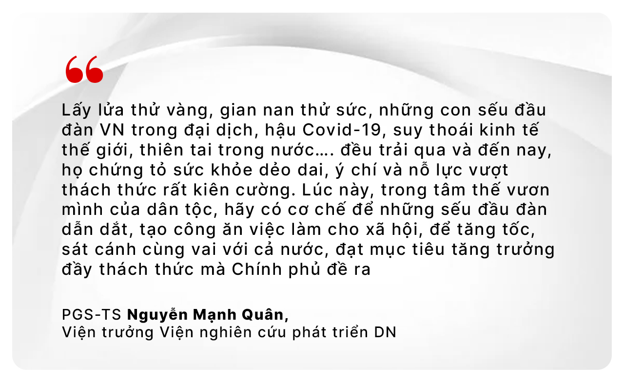 Đặt "đại bàng nội" những đơn hàng lịch sử- Ảnh 11.