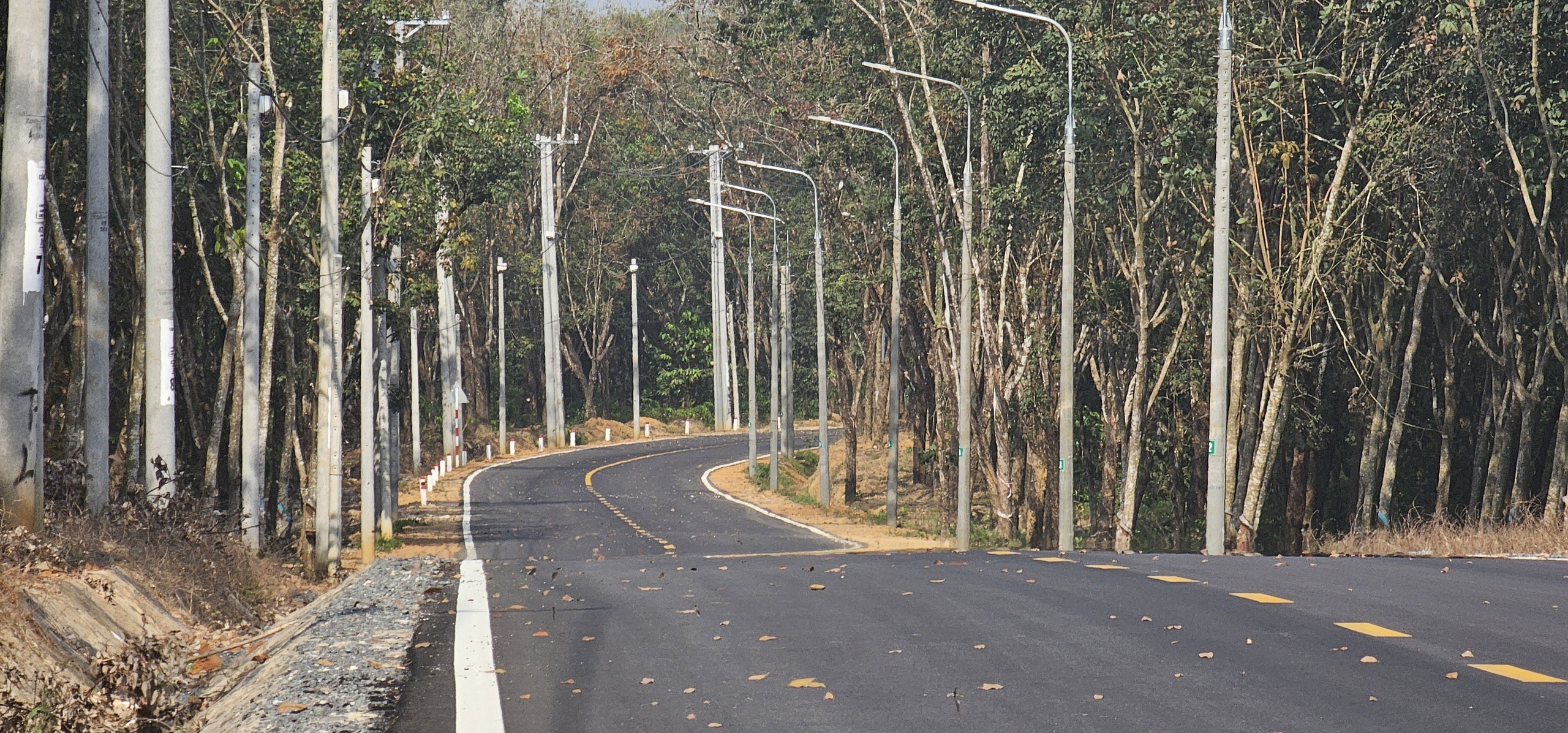 Đồng Nai: Đẹp mê mẩn con đường mới mở nằm ngoài ranh sân bay Long Thành- Ảnh 6.