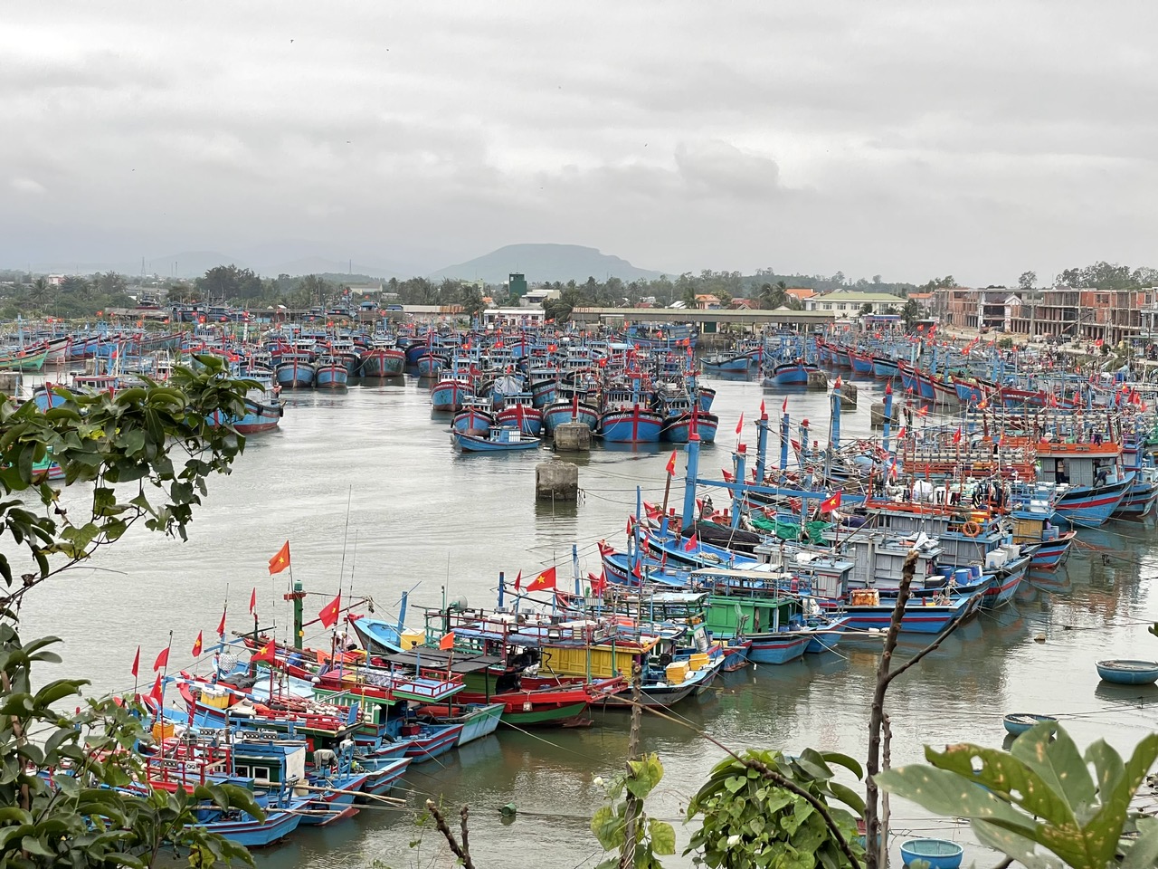 Thủ tướng yêu cầu đẩy mạnh phát triển vận tải đường thủy- Ảnh 1. Thủ tướng yêu cầu đẩy mạnh phát triển vận tải đường thủy- Ảnh 1.