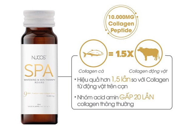 Hướng dẫn cách uống collagen chuẩn chuyên gia đạt hiệu quả cao, không tác dụng phụ- Ảnh 9.