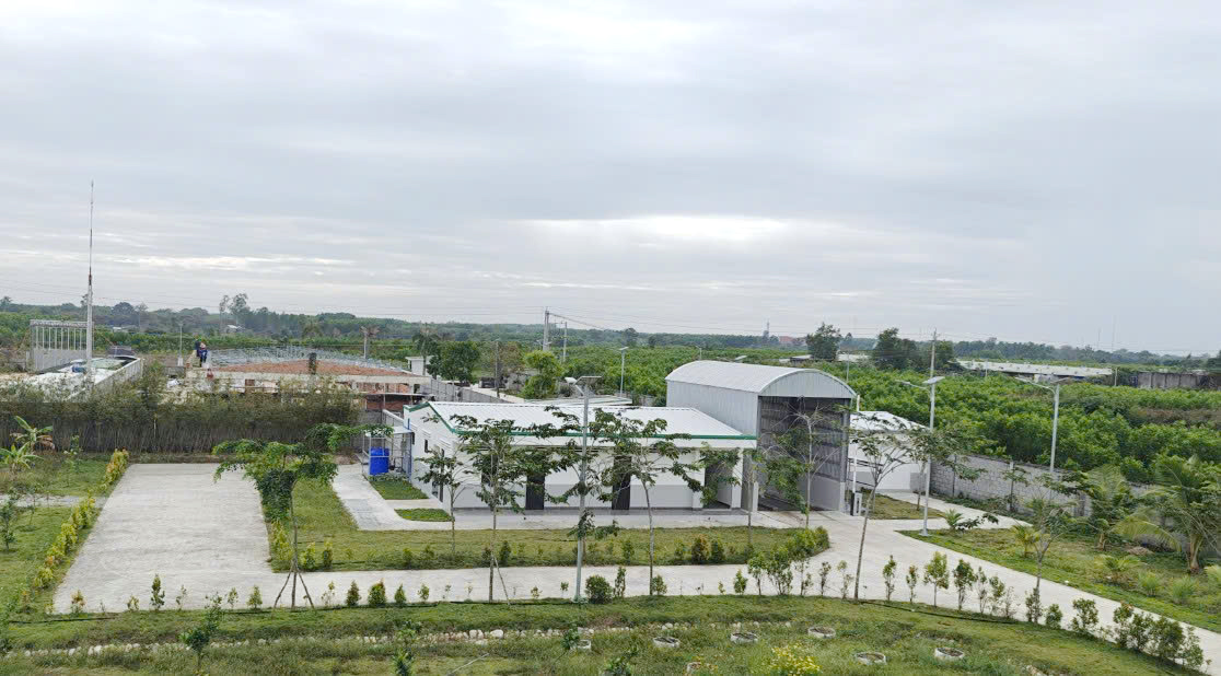 Mebipha 'trình làng' trang trại gà đẻ trứng công nghệ cao tại Bình Thuận - Ảnh 5. Mebipha 'trình làng' trang trại gà đẻ trứng công nghệ cao tại Bình Thuận - Ảnh 1.