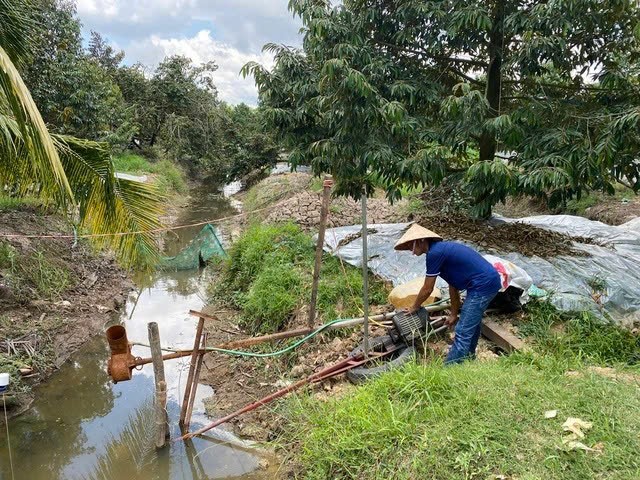 Xâm nhập mặn ở Nam bộ đạt đỉnh điểm trong tháng 3- Ảnh 1.