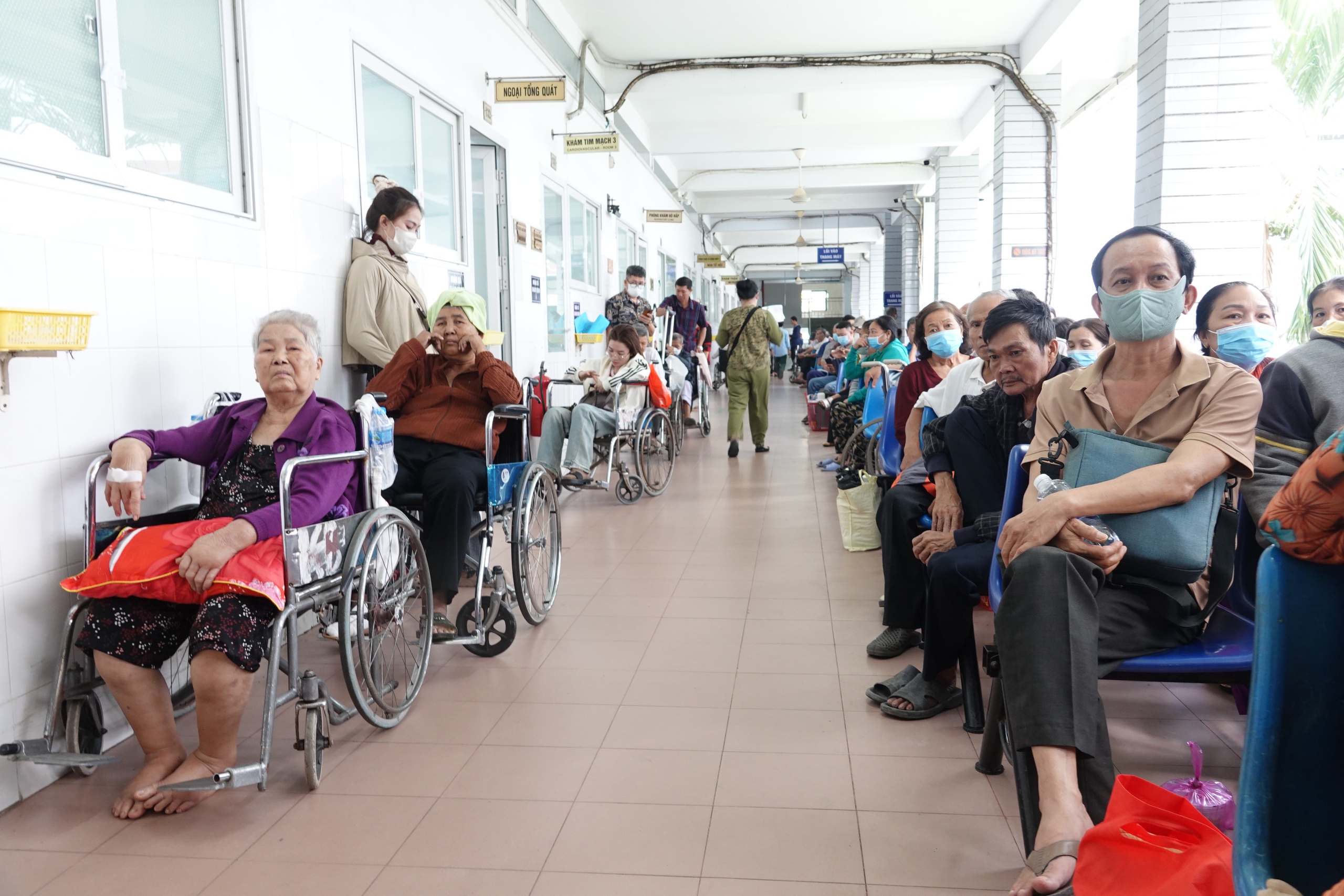 Ghép thận - thành tựu y khoa nổi bật của miền Tây - Ảnh 4.