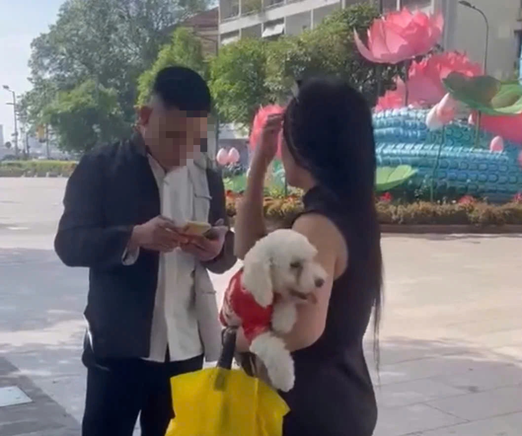 Cần nghiêm trị người dắt chó đánh trọng thương bảo vệ phố đi bộ Nguyễn Huệ- Ảnh 1. Cần nghiêm trị người dắt chó đánh trọng thương bảo vệ phố đi bộ Nguyễn Huệ- Ảnh 1.