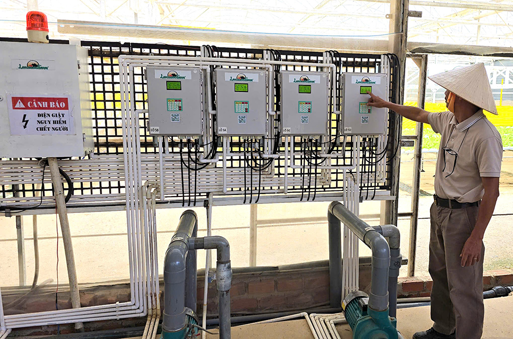 Ứng dụng chuyển đổi số trồng rau xuất khẩu- Ảnh 5. Ứng dụng chuyển đổi số trồng rau xuất khẩu- Ảnh 5.