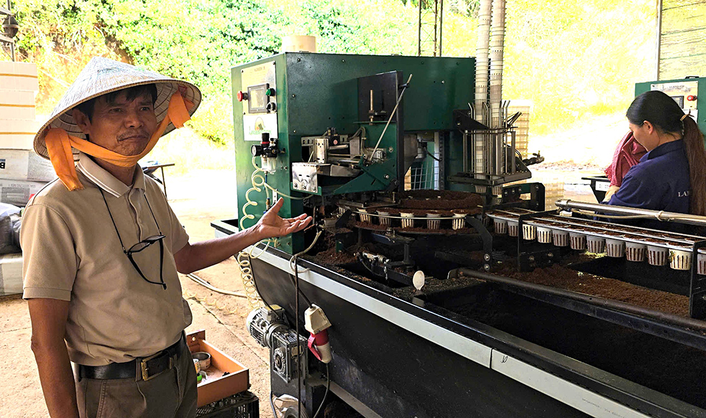 Ứng dụng chuyển đổi số trồng rau xuất khẩu- Ảnh 3. Ứng dụng chuyển đổi số trồng rau xuất khẩu- Ảnh 3.